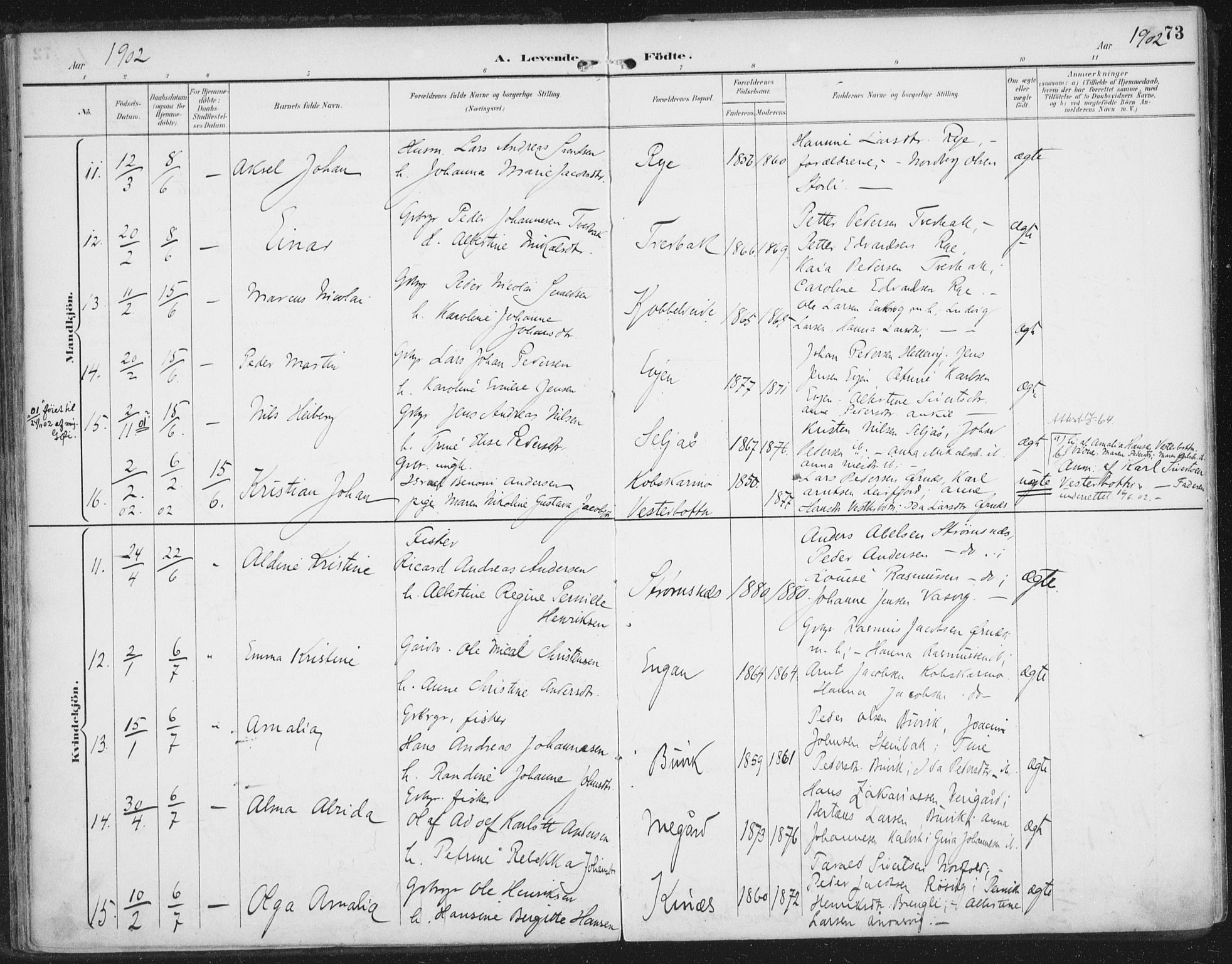 Ministerialprotokoller, klokkerbøker og fødselsregistre - Nordland, AV/SAT-A-1459/854/L0779: Parish register (official) no. 854A02, 1892-1909, p. 73