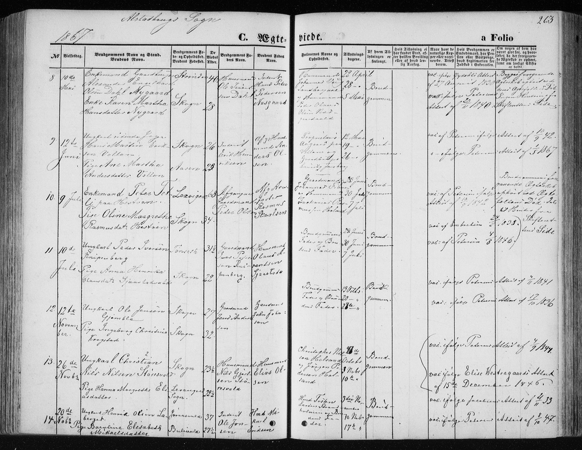 Ministerialprotokoller, klokkerbøker og fødselsregistre - Nord-Trøndelag, AV/SAT-A-1458/717/L0157: Parish register (official) no. 717A08 /1, 1863-1877, p. 263