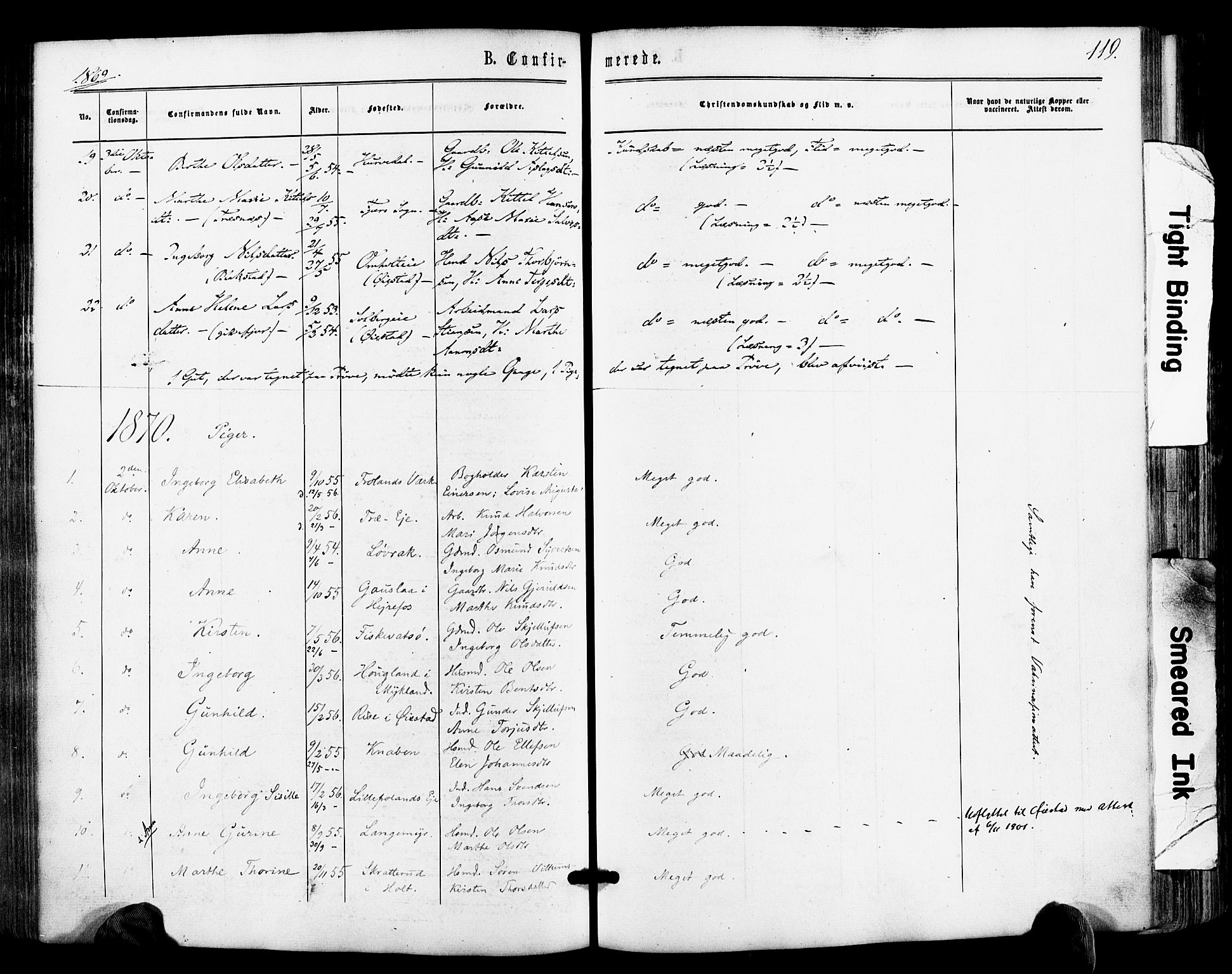 Froland sokneprestkontor, AV/SAK-1111-0013/F/Fa/L0003: Parish register (official) no. A 3, 1864-1881, p. 119