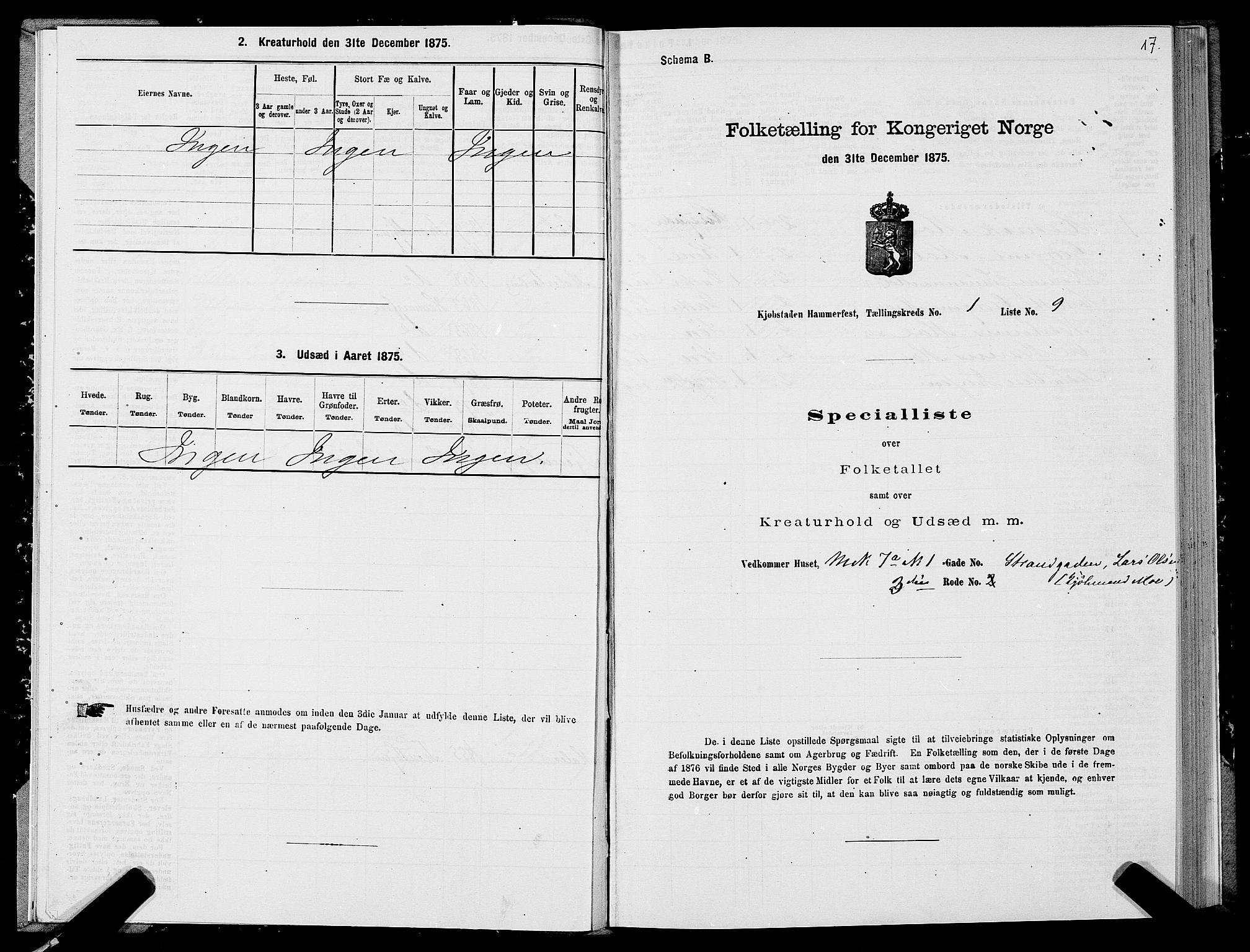 SATØ, 1875 census for 2001B Hammerfest/Hammerfest, 1875, p. 1017