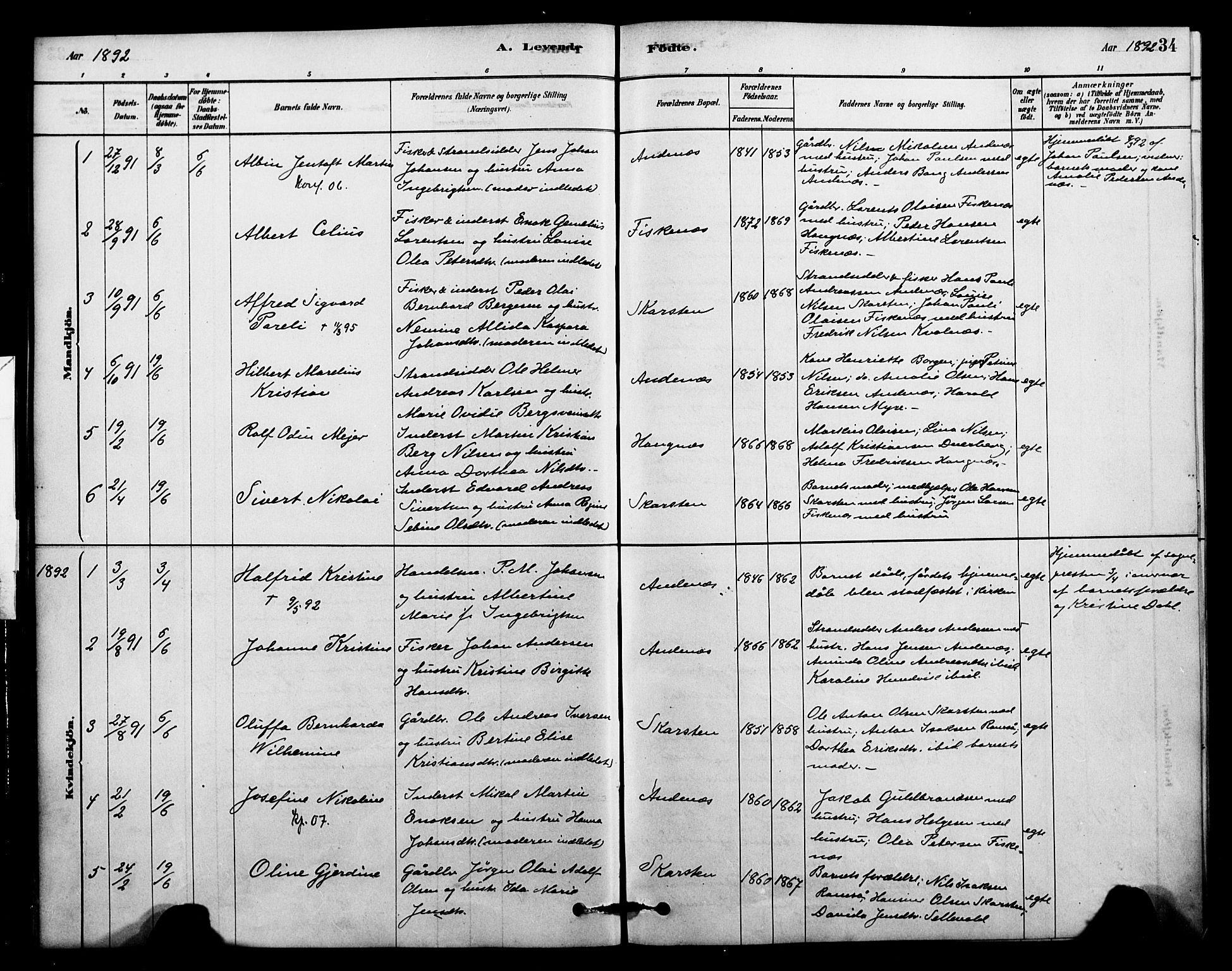 Ministerialprotokoller, klokkerbøker og fødselsregistre - Nordland, AV/SAT-A-1459/899/L1436: Parish register (official) no. 899A04, 1881-1896, p. 34