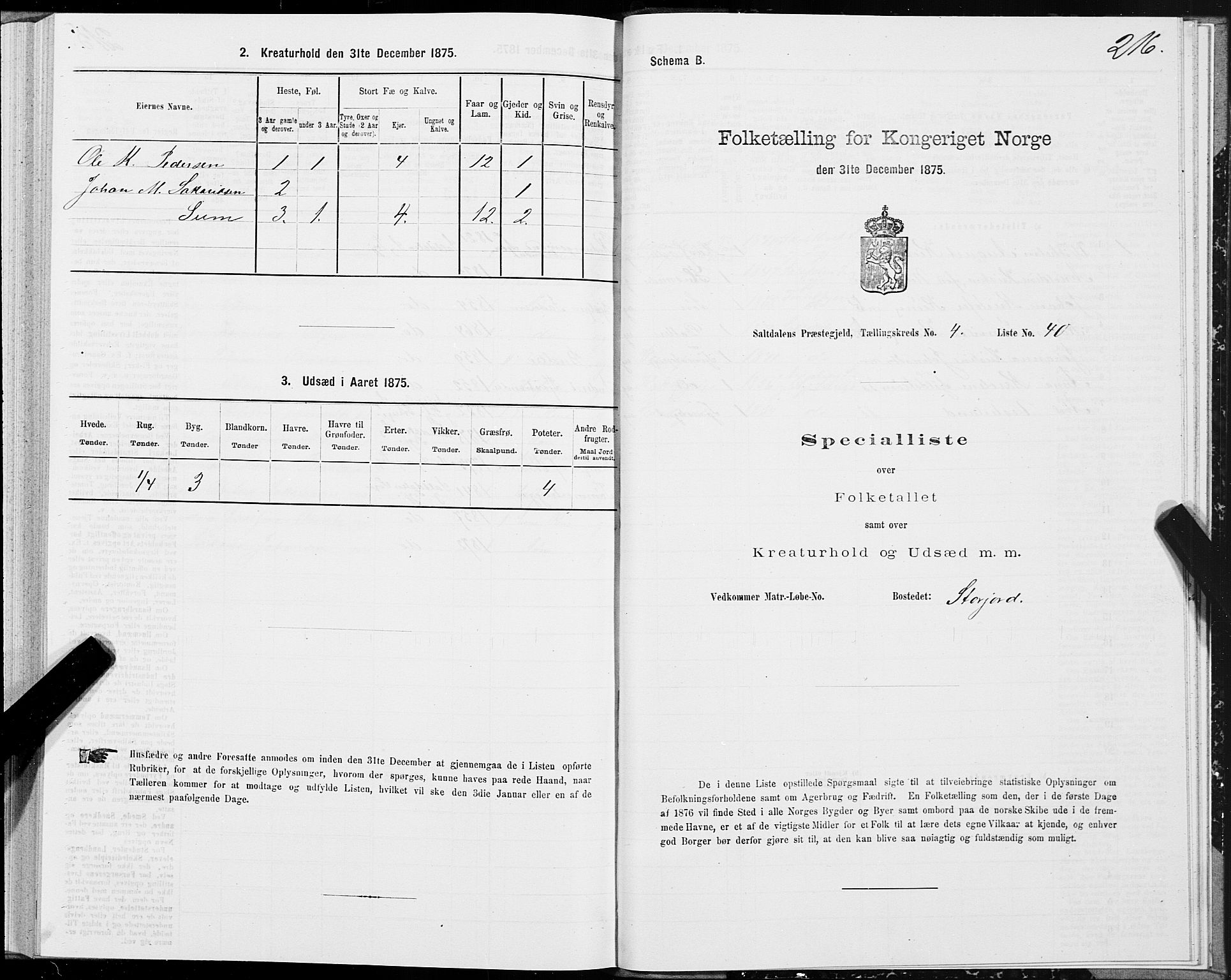 SAT, 1875 census for 1840P Saltdal, 1875, p. 2216