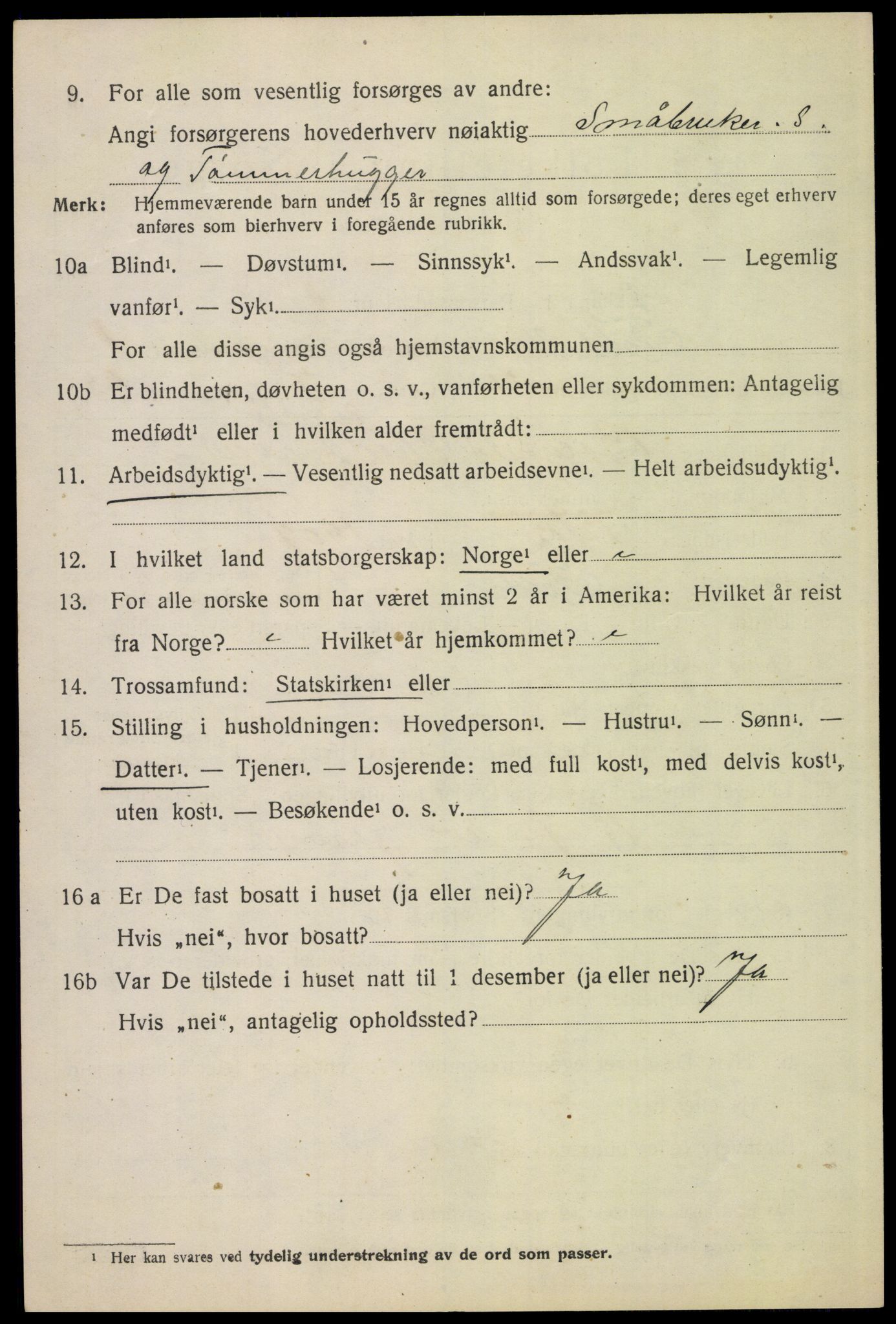 SAH, 1920 census for Folldal, 1920, p. 1030