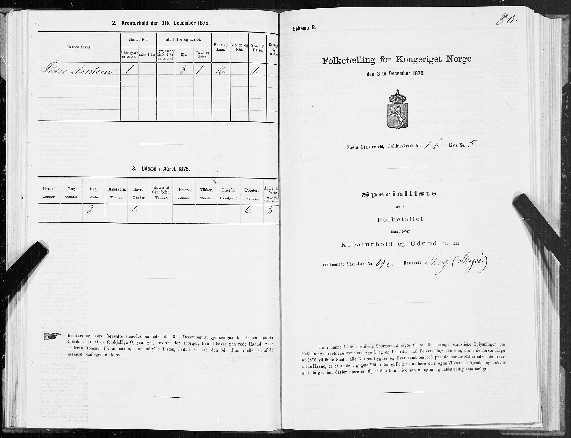 SAT, 1875 census for 1828P Nesna, 1875, p. 1080