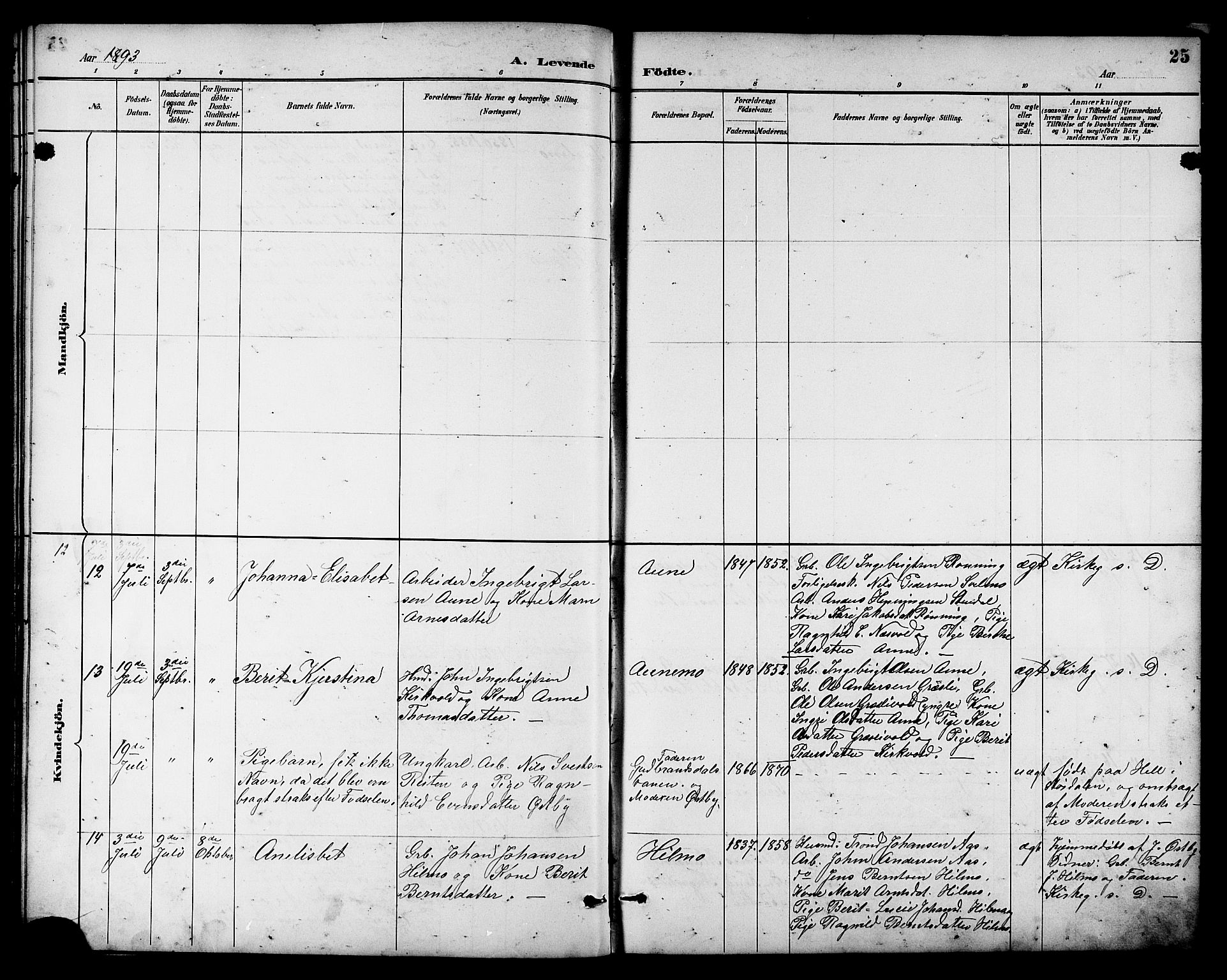 Ministerialprotokoller, klokkerbøker og fødselsregistre - Sør-Trøndelag, AV/SAT-A-1456/698/L1167: Parish register (copy) no. 698C04, 1888-1907, p. 25