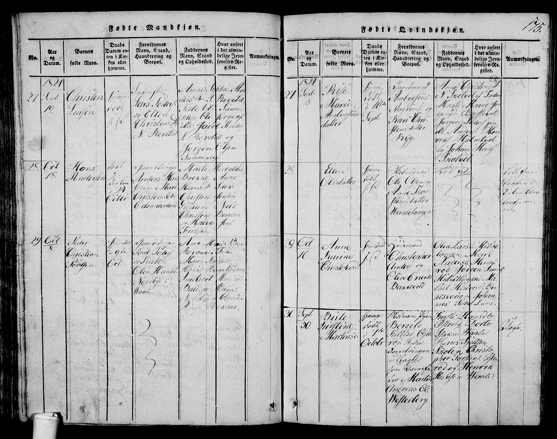 Våle kirkebøker, AV/SAKO-A-334/G/Ga/L0001: Parish register (copy) no. I 1, 1814-1824, p. 174-175