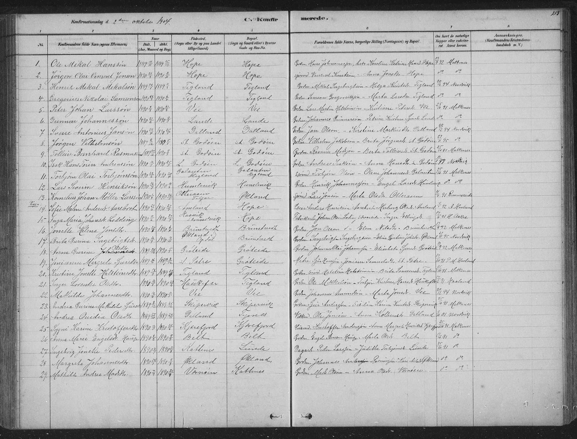 Tysnes sokneprestembete, SAB/A-78601/H/Hab: Parish register (copy) no. B 2, 1878-1918, p. 213