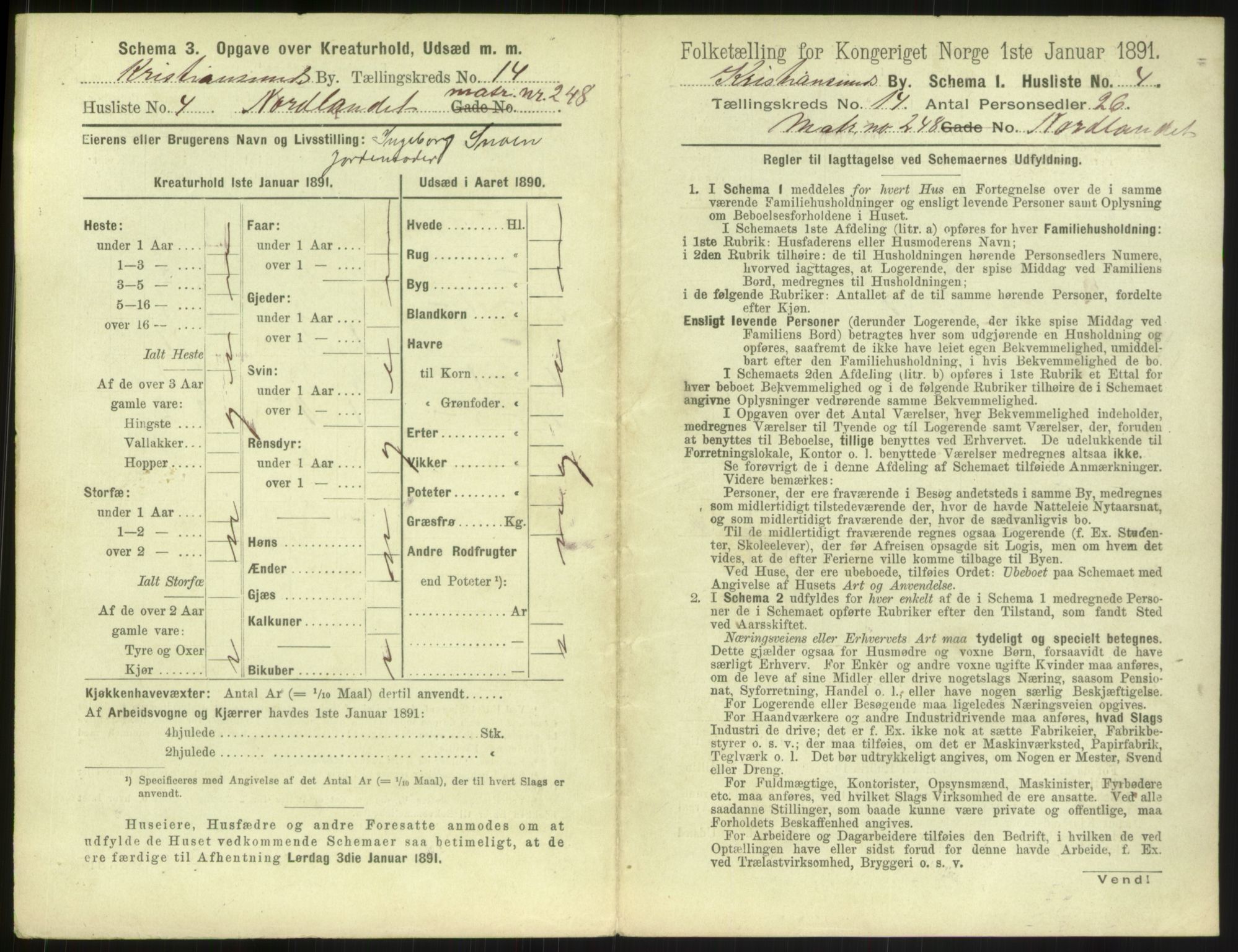 RA, 1891 census for 1503 Kristiansund, 1891, p. 1502