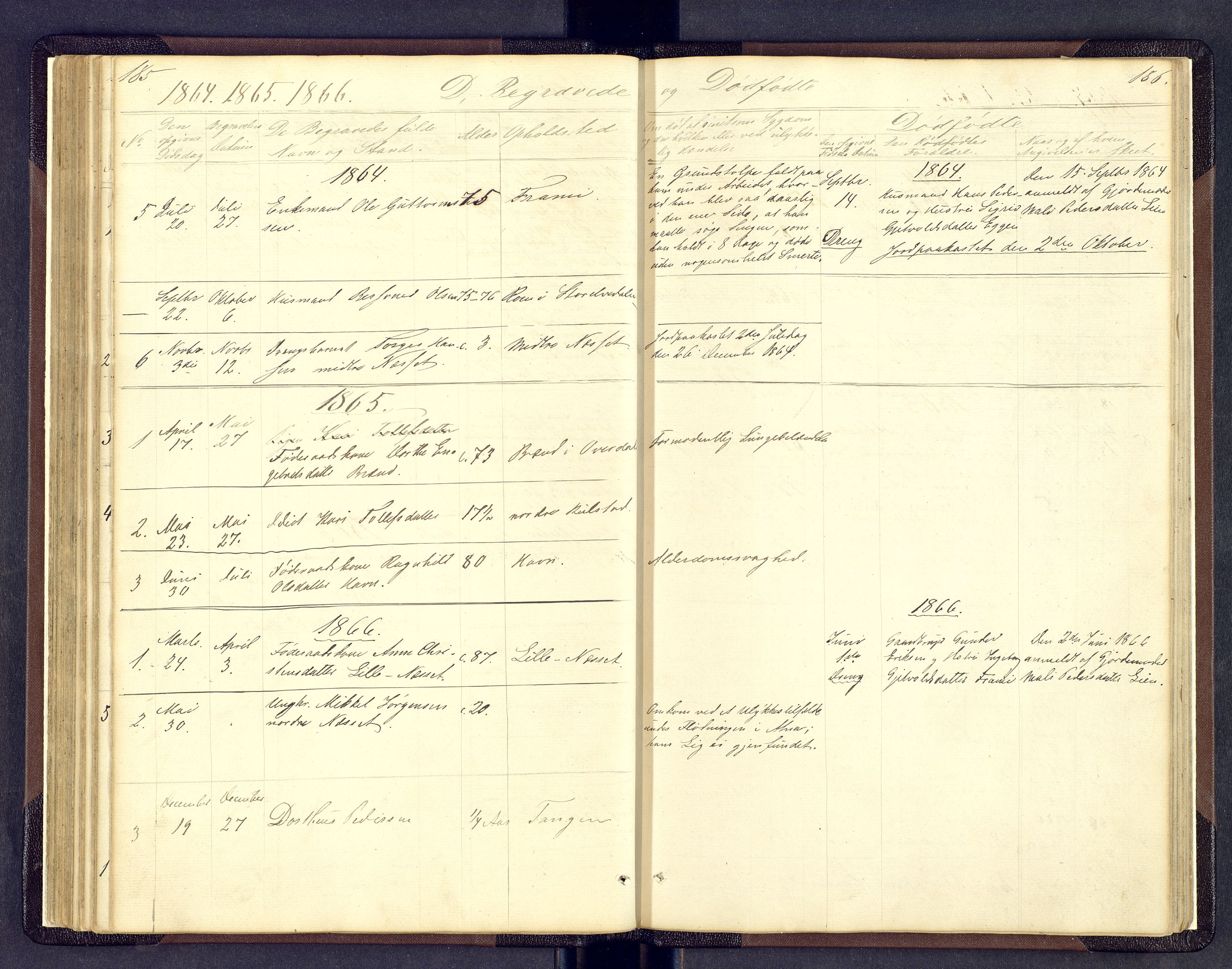 Sollia prestekontor, SAH/PREST-050/H/Ha/Hab/L0001: Parish register (copy) no. 1, 1862-1879, p. 185-186