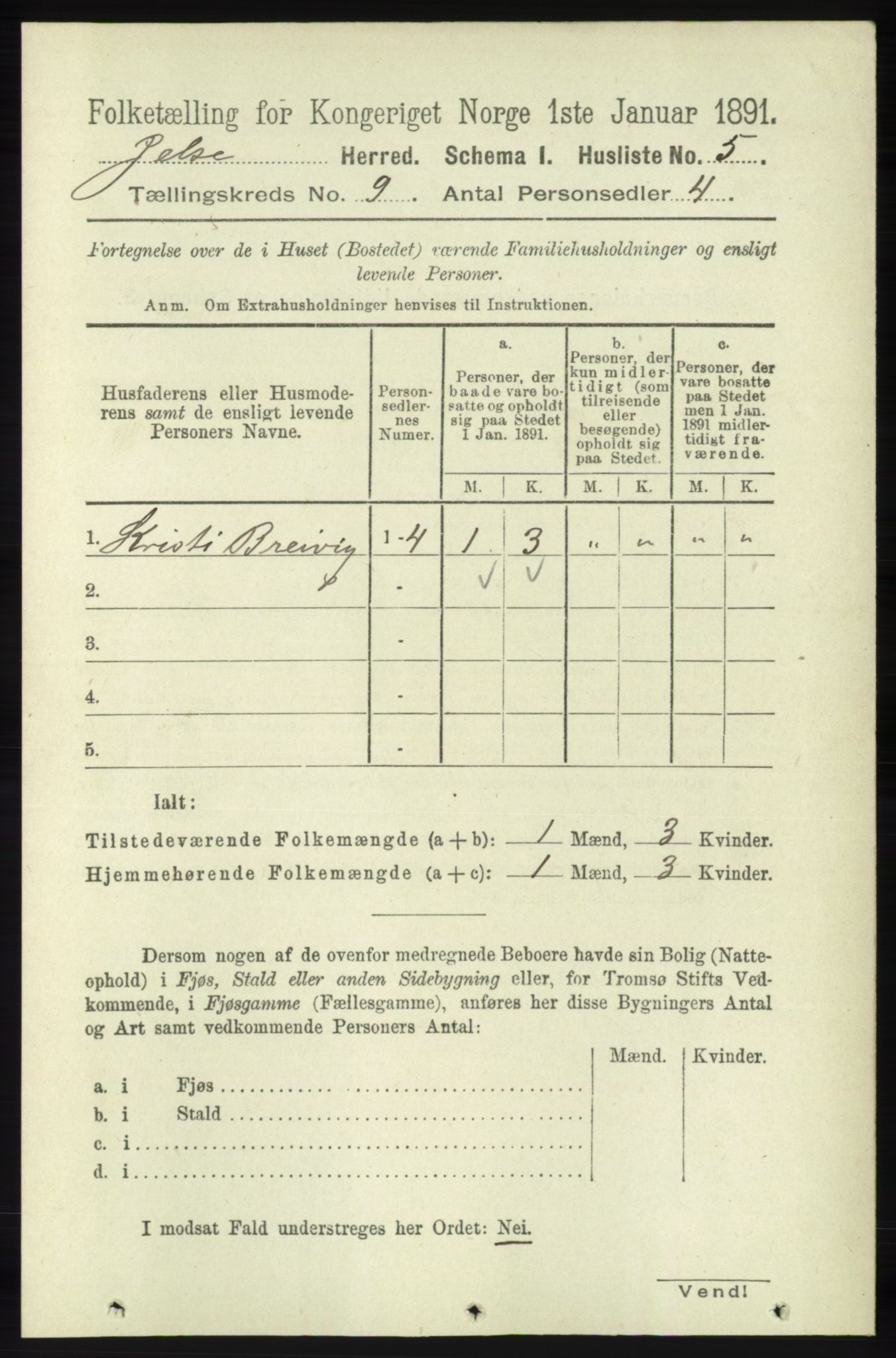 RA, 1891 census for 1138 Jelsa, 1891, p. 2007