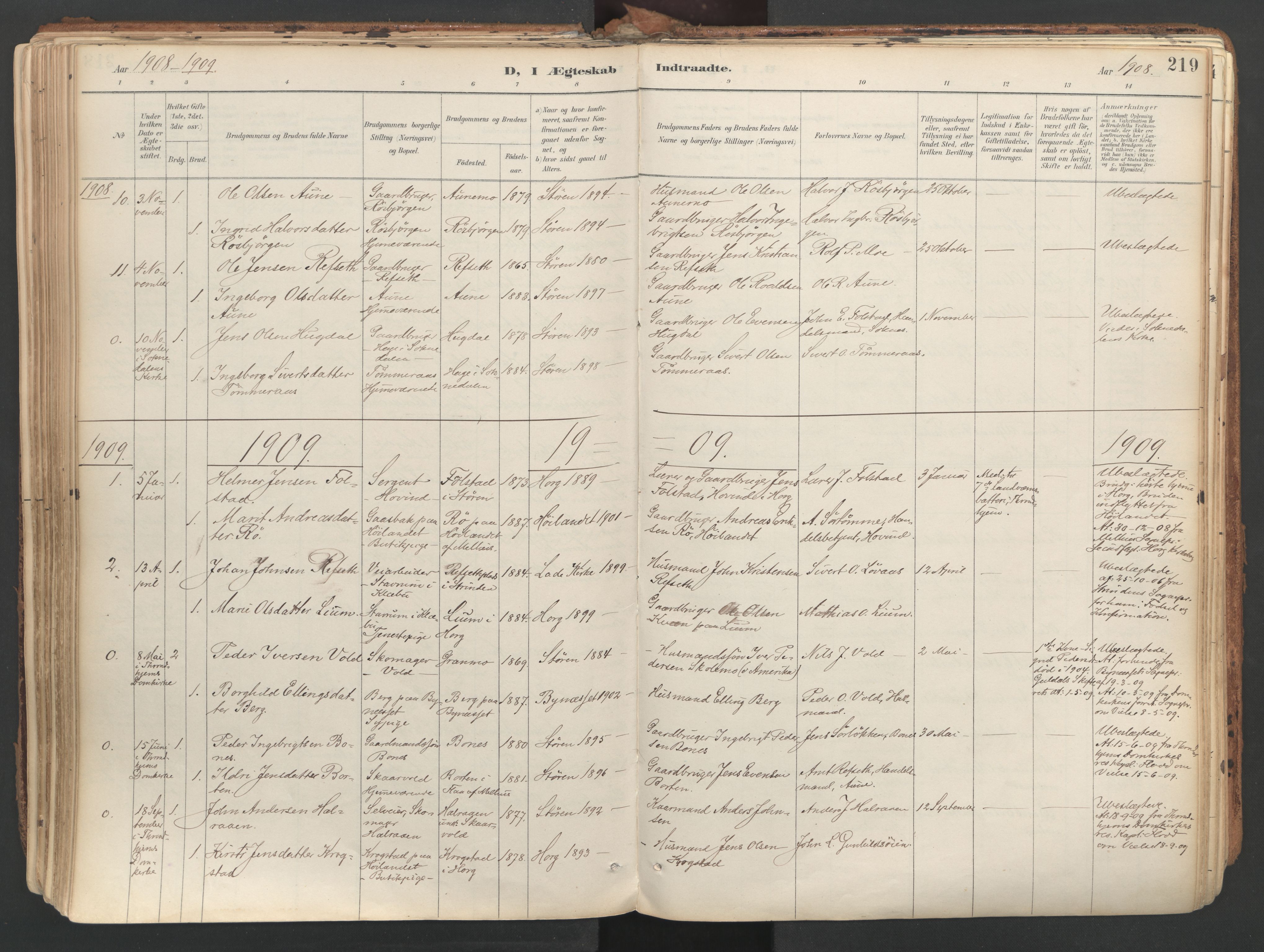 Ministerialprotokoller, klokkerbøker og fødselsregistre - Sør-Trøndelag, SAT/A-1456/687/L1004: Parish register (official) no. 687A10, 1891-1923, p. 219