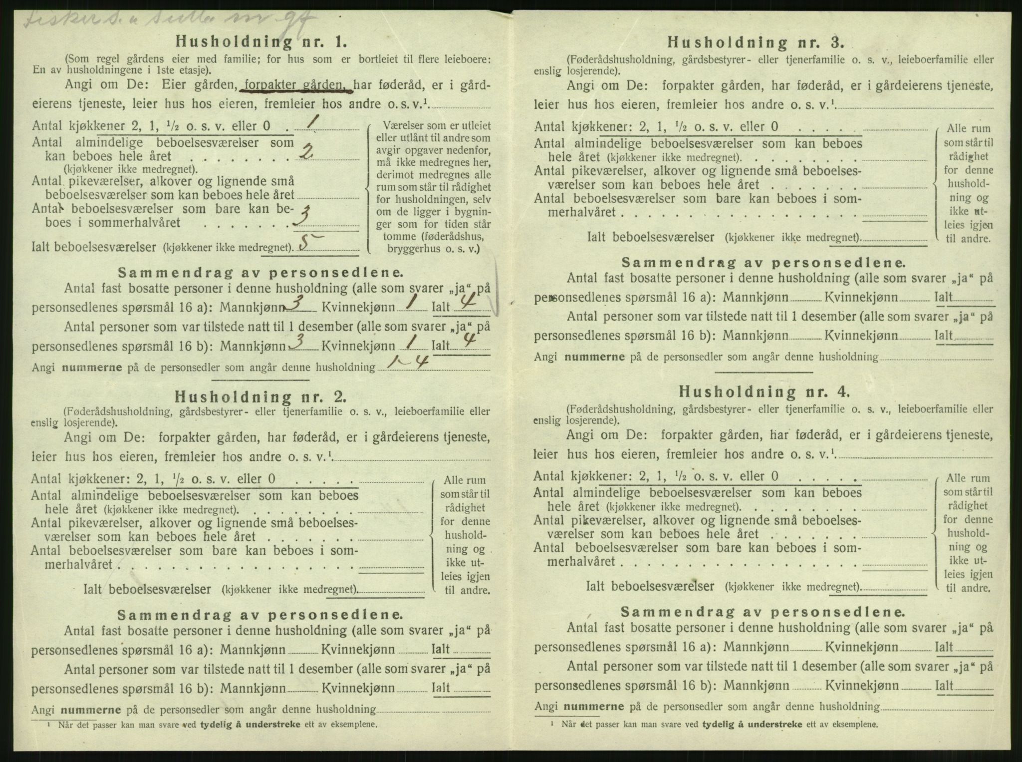 SAT, 1920 census for Vik, 1920, p. 248