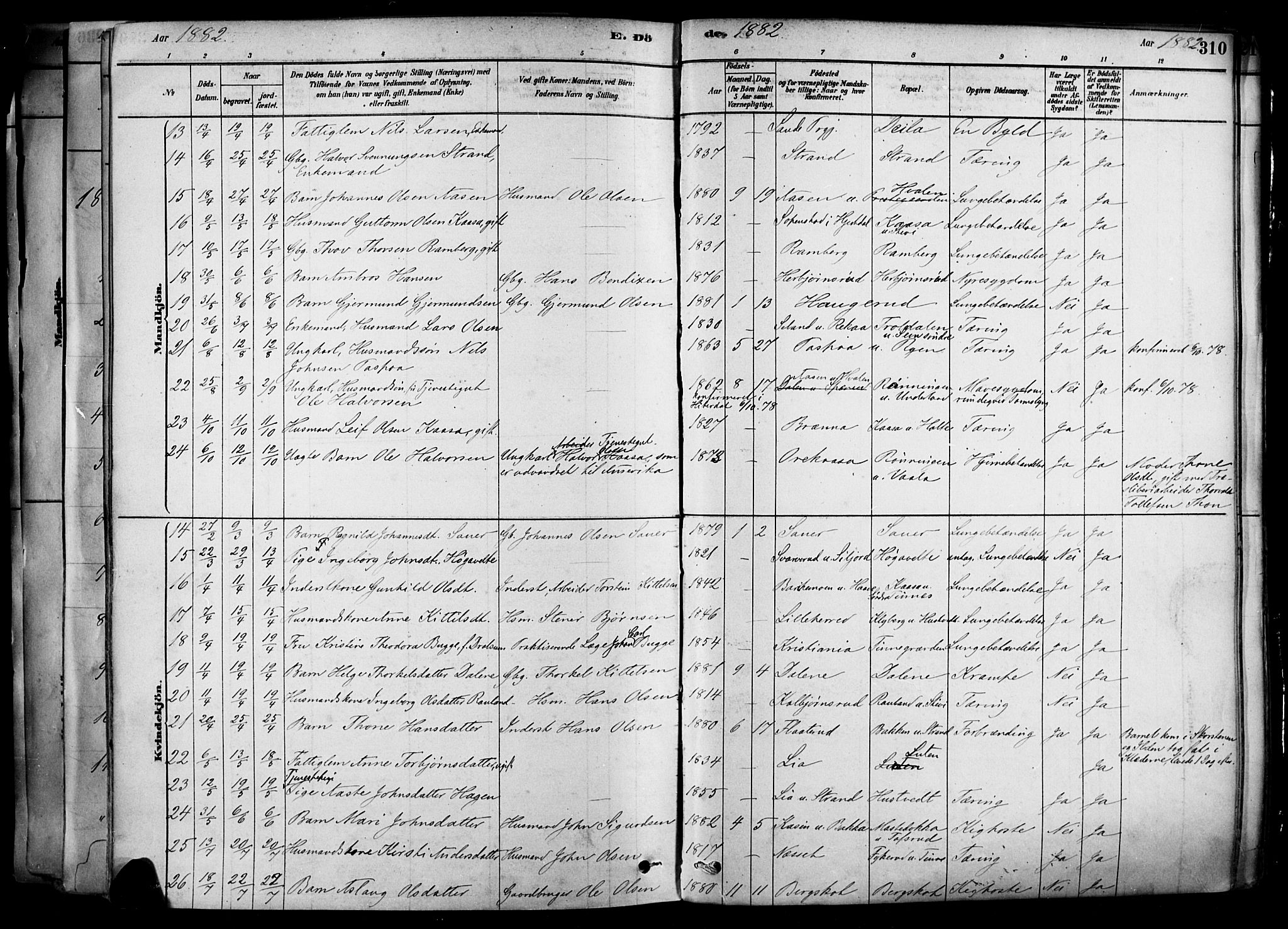 Heddal kirkebøker, AV/SAKO-A-268/F/Fa/L0008: Parish register (official) no. I 8, 1878-1903, p. 310