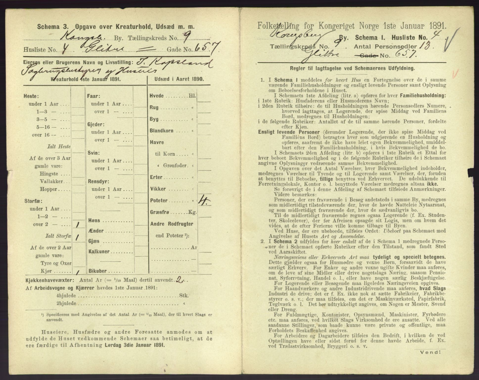 RA, 1891 census for 0604 Kongsberg, 1891, p. 1227