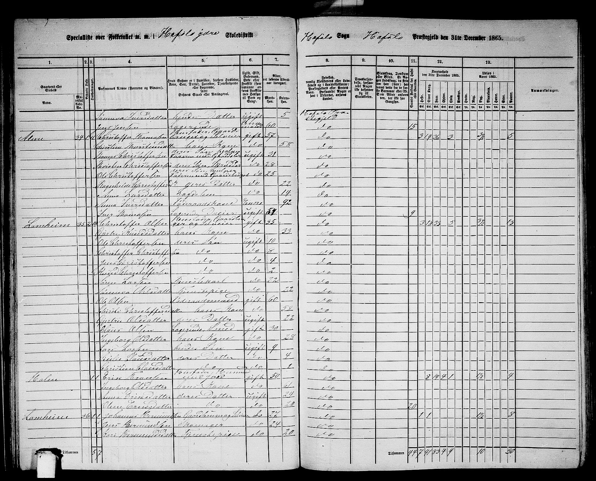 RA, 1865 census for Hafslo, 1865, p. 34