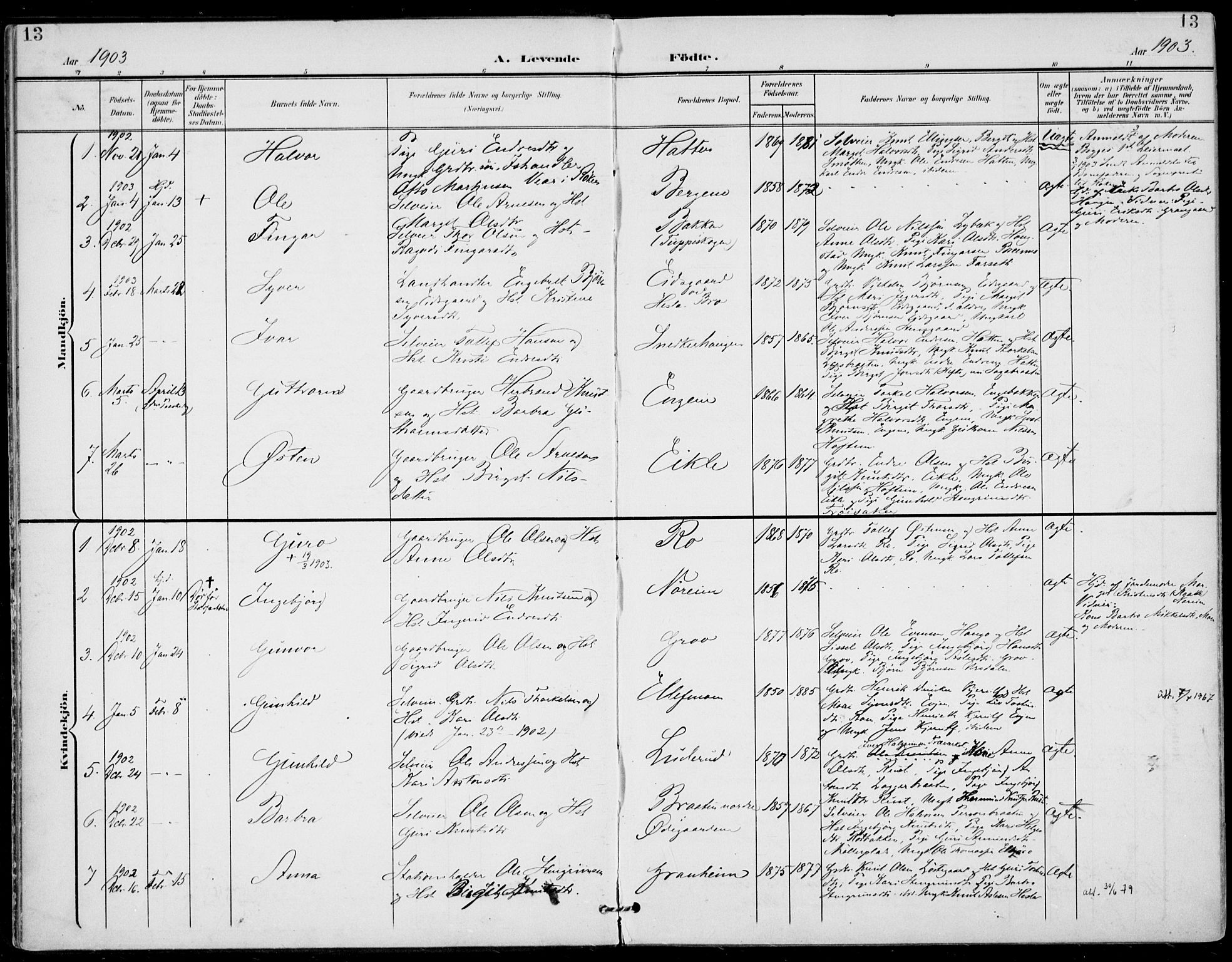 Gol kirkebøker, SAKO/A-226/F/Fa/L0006: Parish register (official) no. I 6, 1901-1918, p. 13