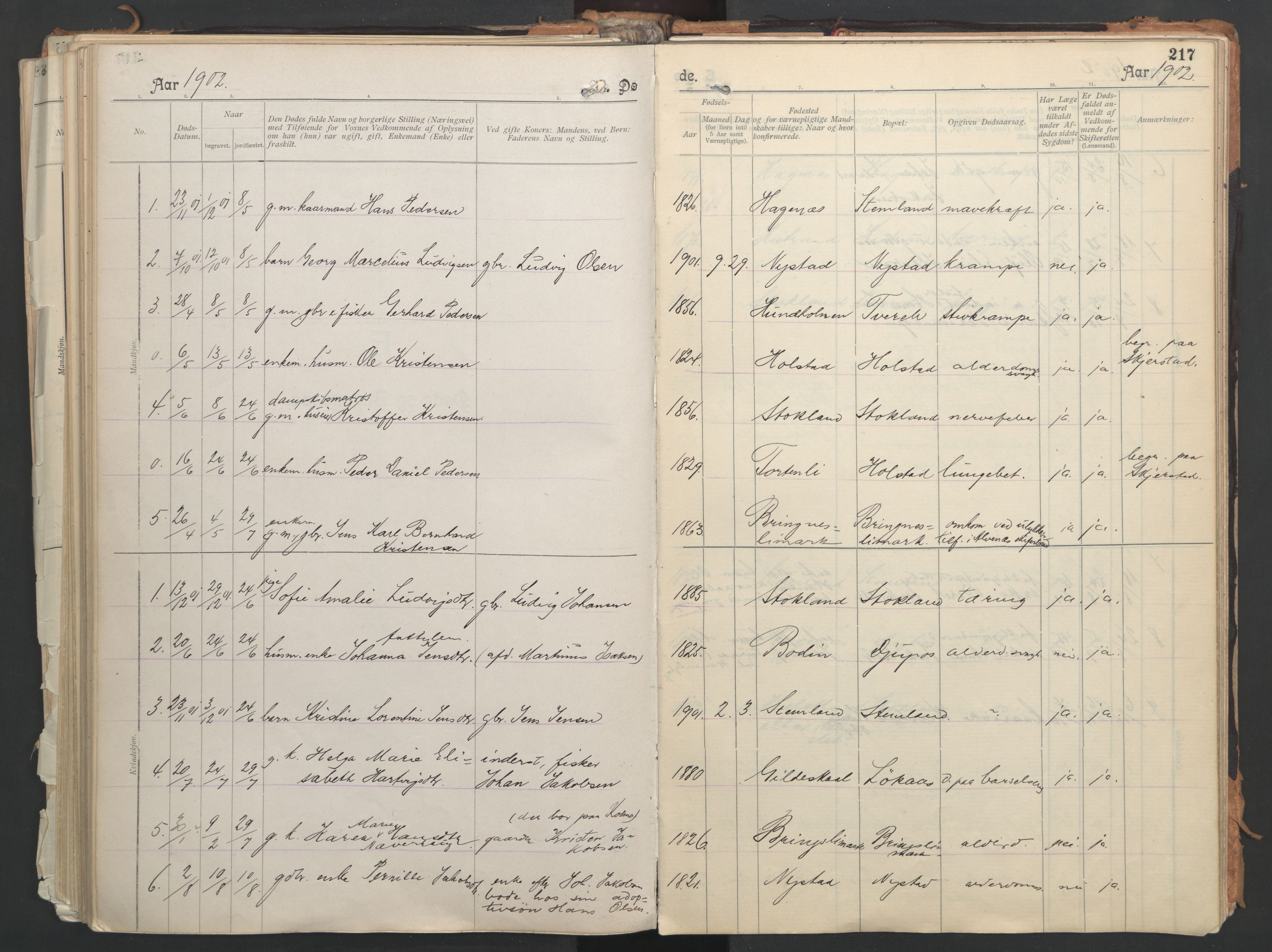 Ministerialprotokoller, klokkerbøker og fødselsregistre - Nordland, AV/SAT-A-1459/851/L0724: Parish register (official) no. 851A01, 1901-1922, p. 217