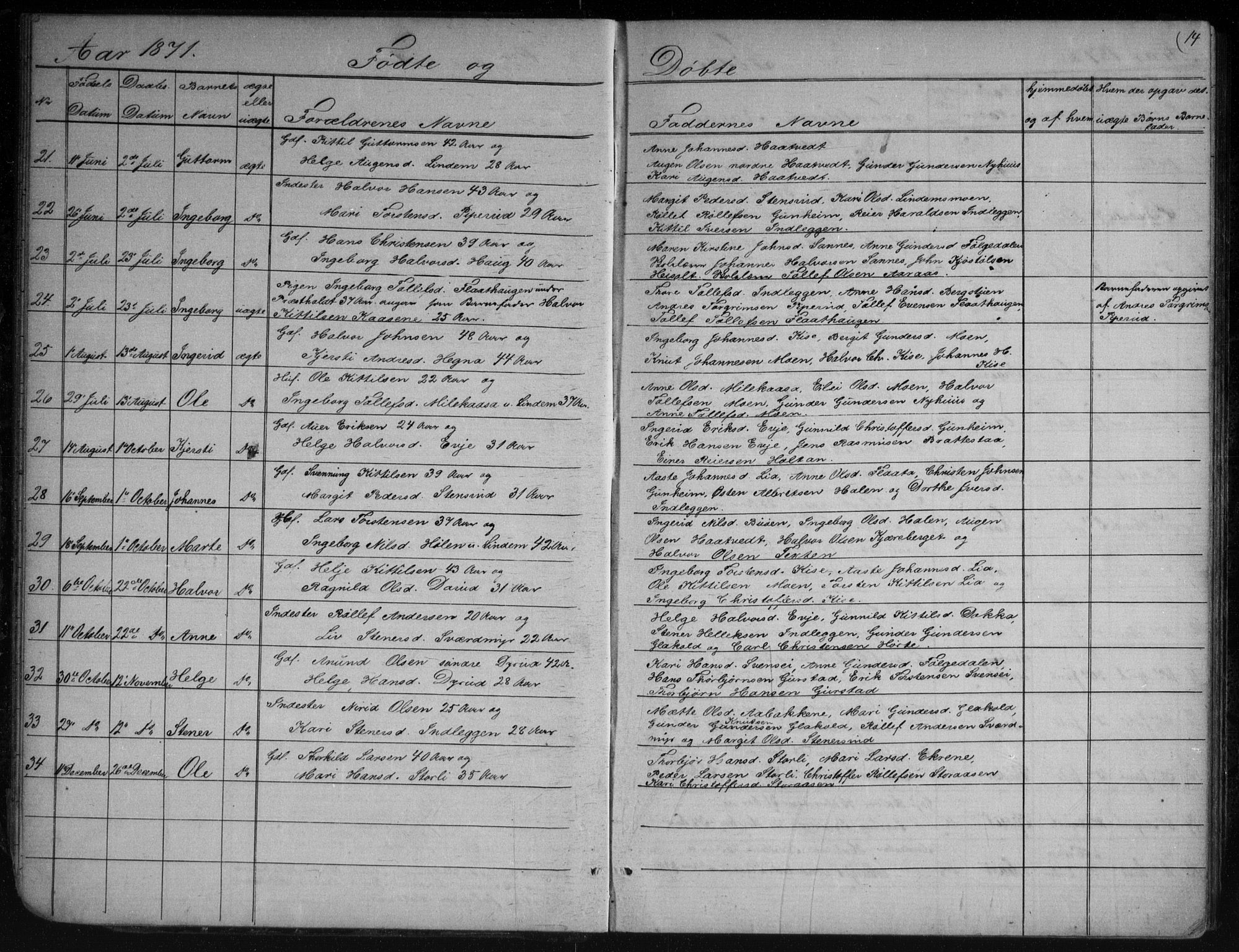 Sauherad kirkebøker, AV/SAKO-A-298/G/Gb/L0002: Parish register (copy) no. II 2, 1866-1897, p. 14