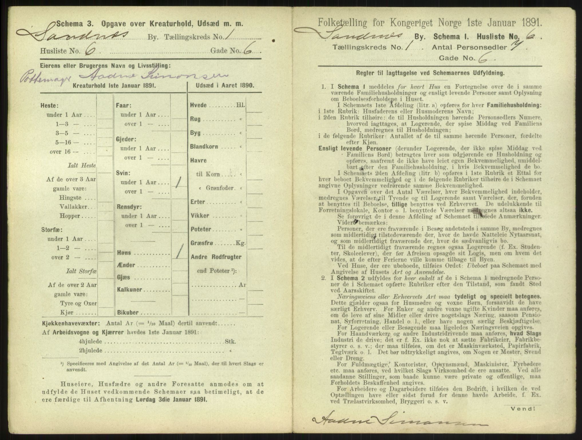 RA, 1891 census for 1102 Sandnes, 1891, p. 25