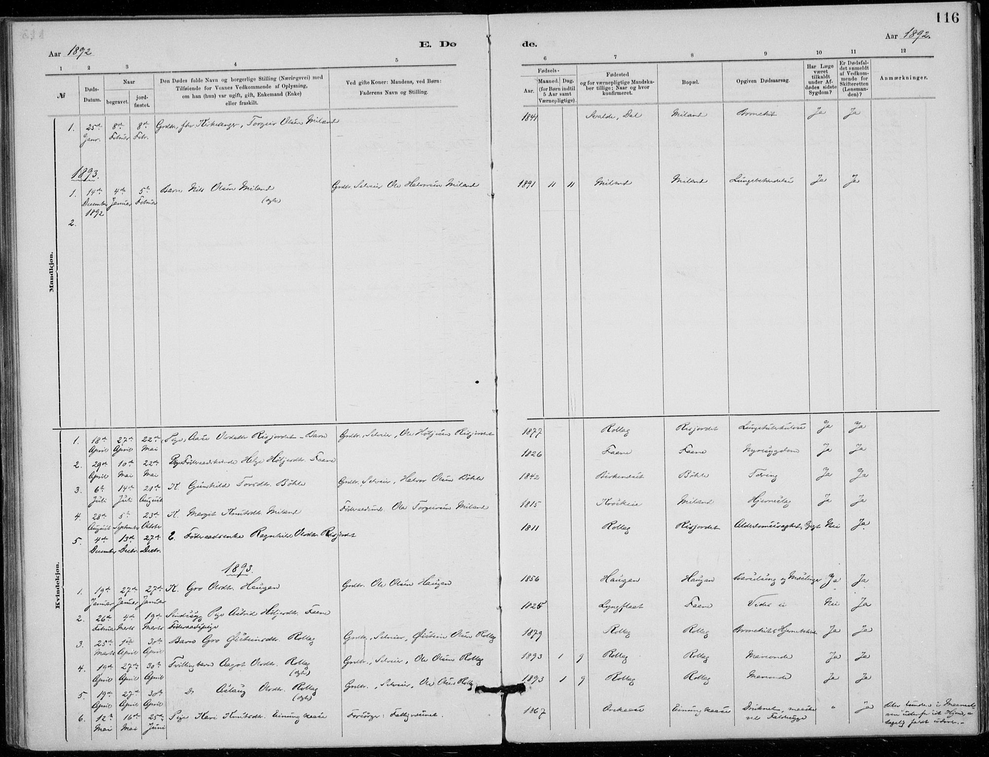 Tinn kirkebøker, SAKO/A-308/F/Fb/L0002: Parish register (official) no. II 2, 1878-1917, p. 116