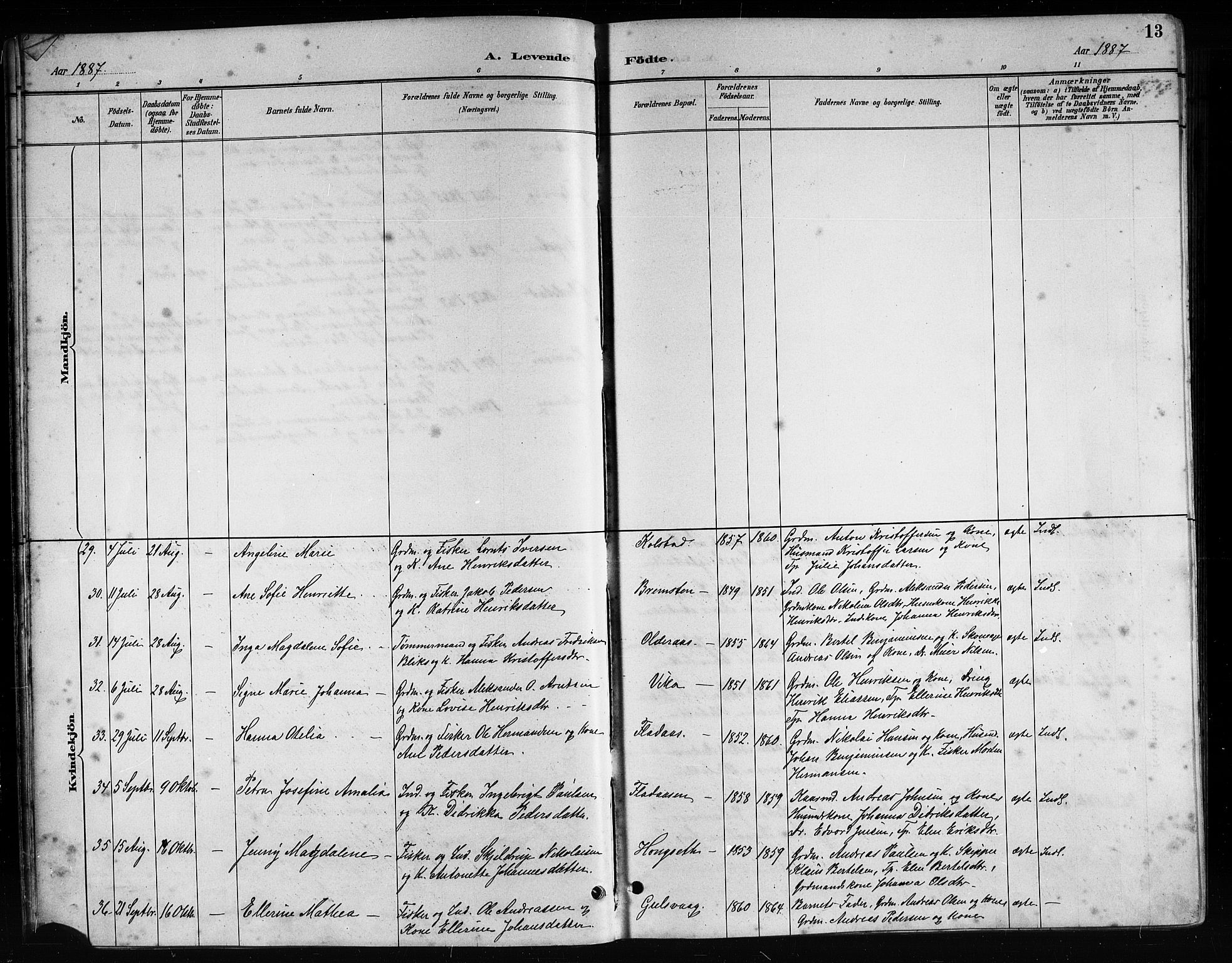 Ministerialprotokoller, klokkerbøker og fødselsregistre - Nordland, AV/SAT-A-1459/816/L0253: Parish register (copy) no. 816C03, 1886-1905, p. 13