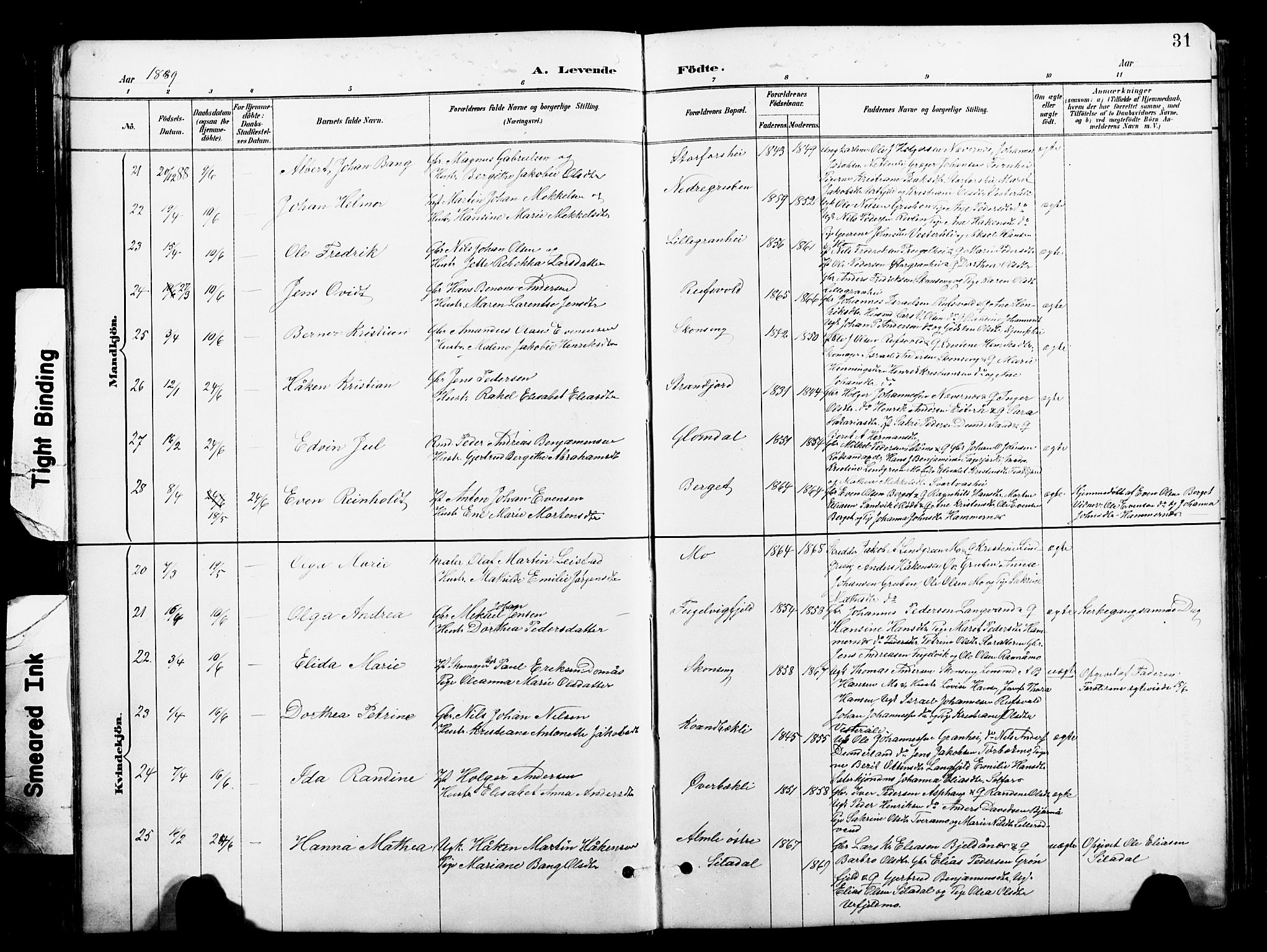 Ministerialprotokoller, klokkerbøker og fødselsregistre - Nordland, AV/SAT-A-1459/827/L0421: Parish register (copy) no. 827C10, 1887-1906, p. 31