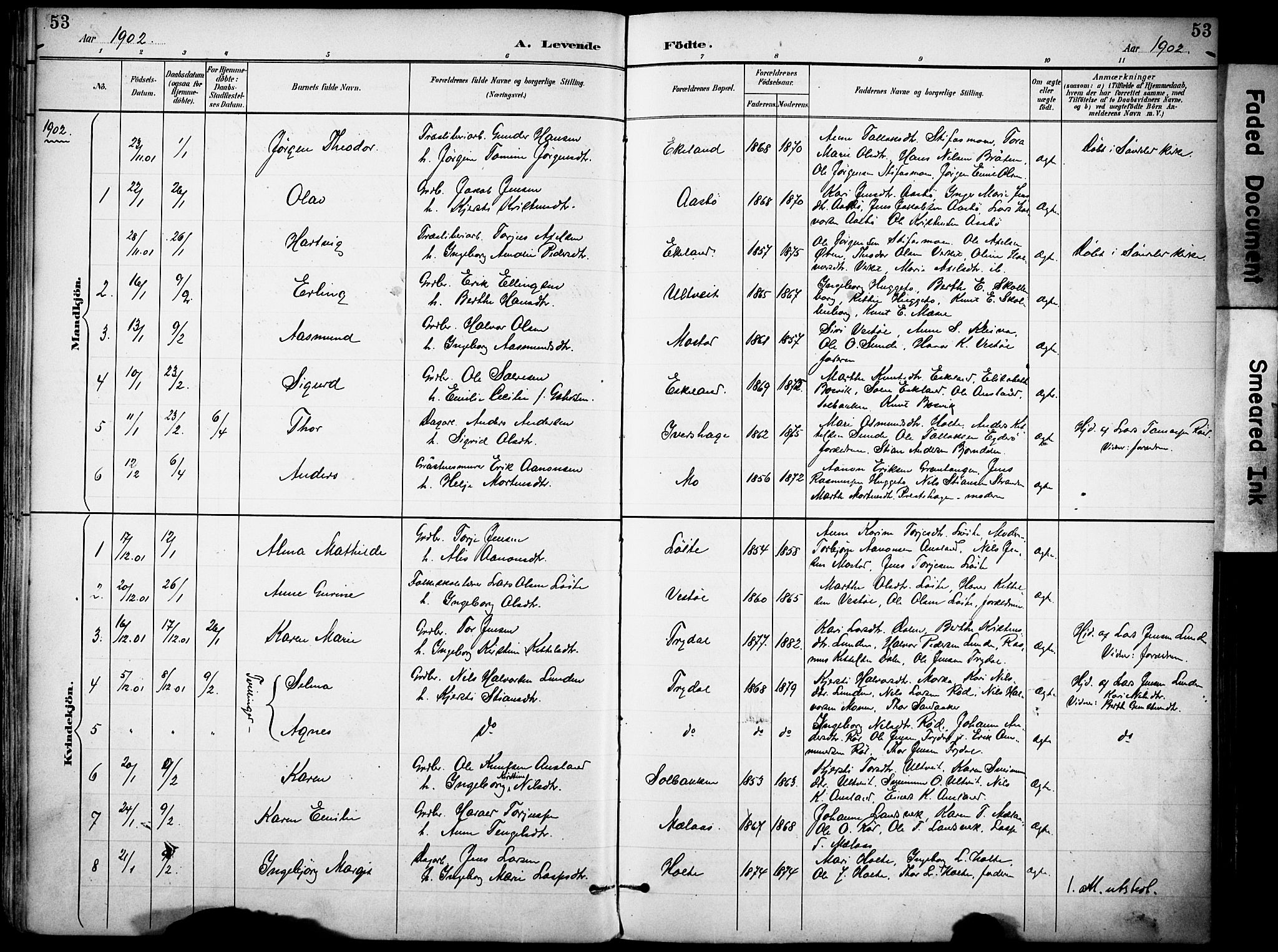 Gjerstad sokneprestkontor, AV/SAK-1111-0014/F/Fa/Faa/L0010: Parish register (official) no. A 10, 1891-1902, p. 54