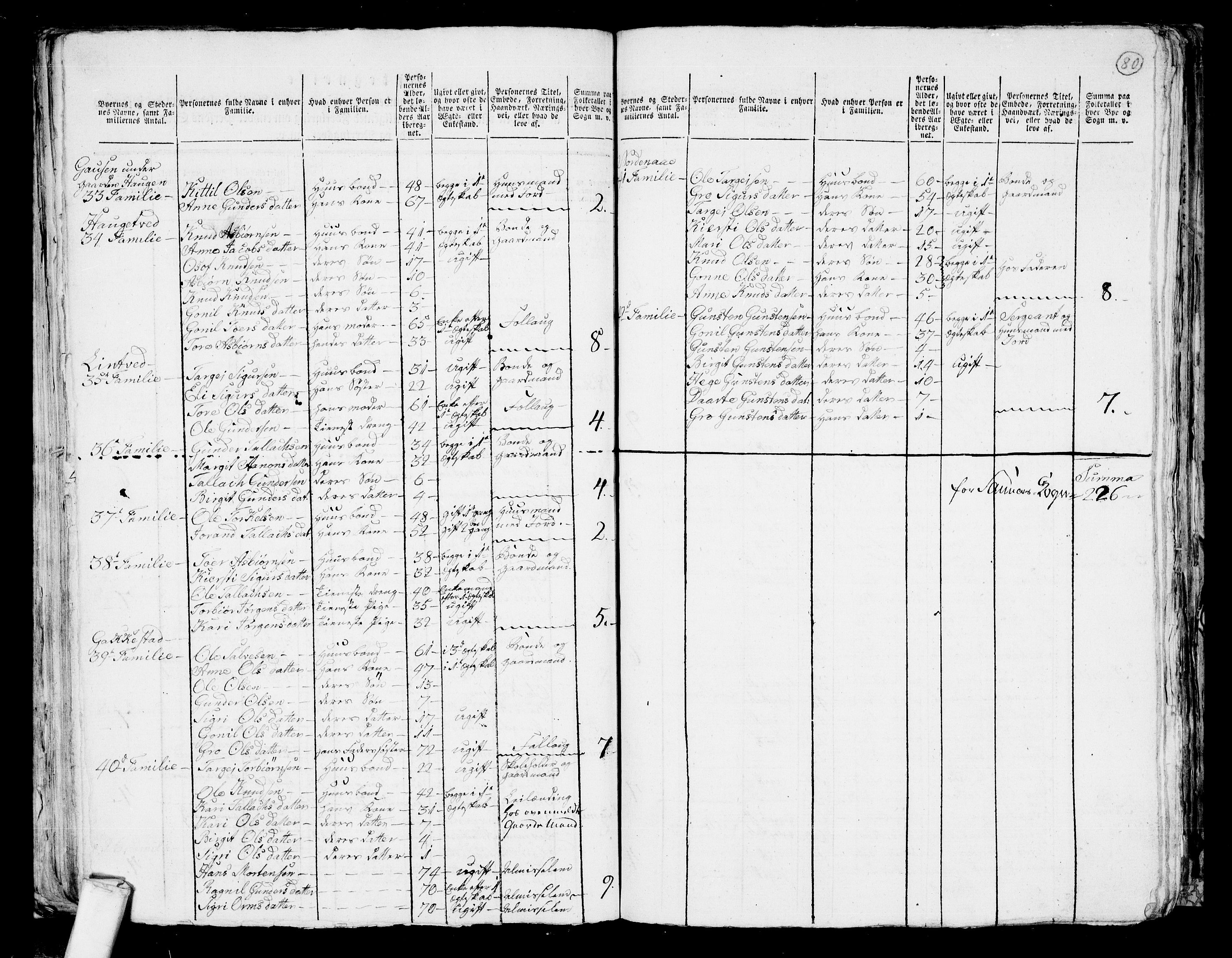 RA, 1801 census for 0938P Bygland, 1801, p. 79b-80a