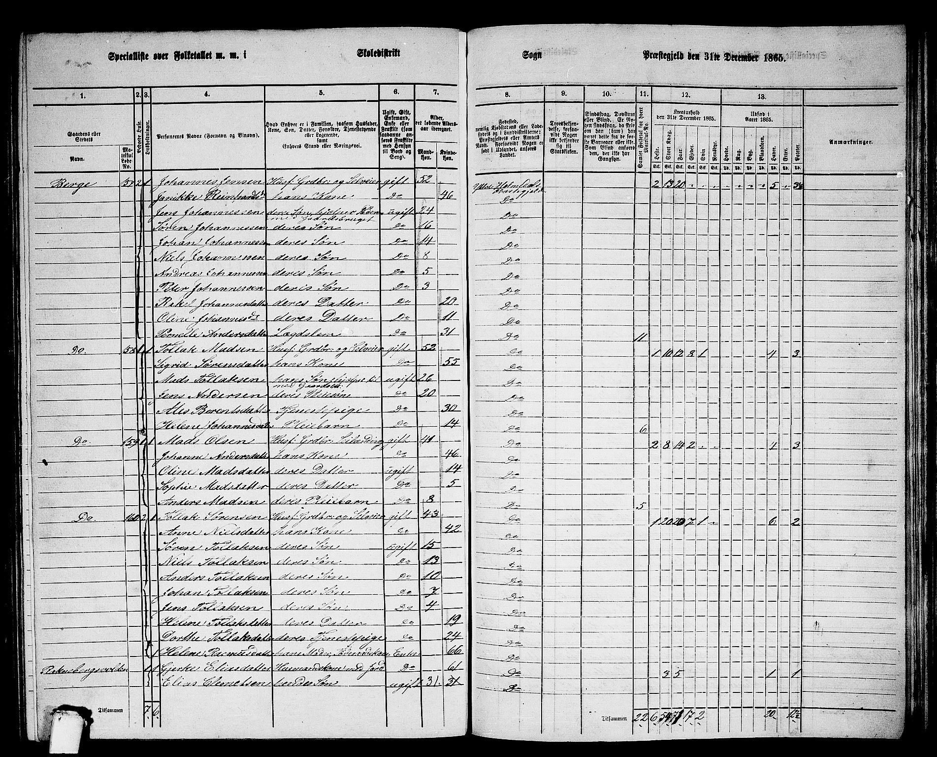 RA, 1865 census for Ytre Holmedal, 1865, p. 117