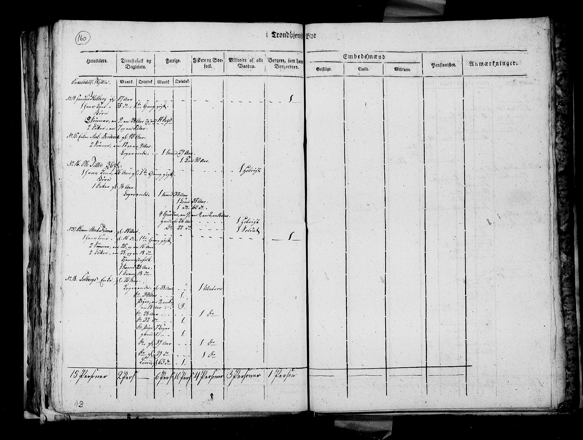 RA, Census 1815, vol. 4: Trondheim, 1815, p. 165