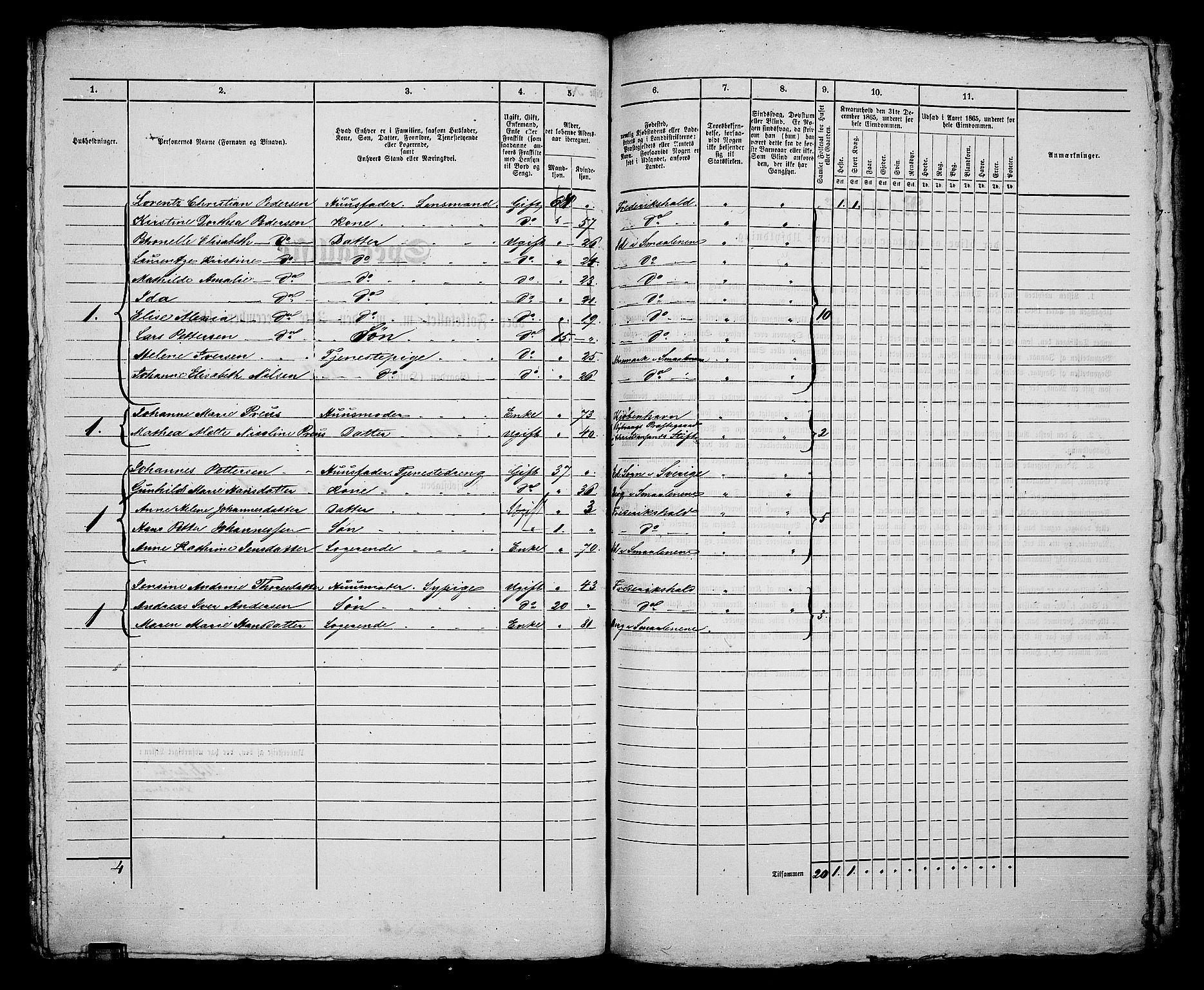 RA, 1865 census for Fredrikshald, 1865, p. 723