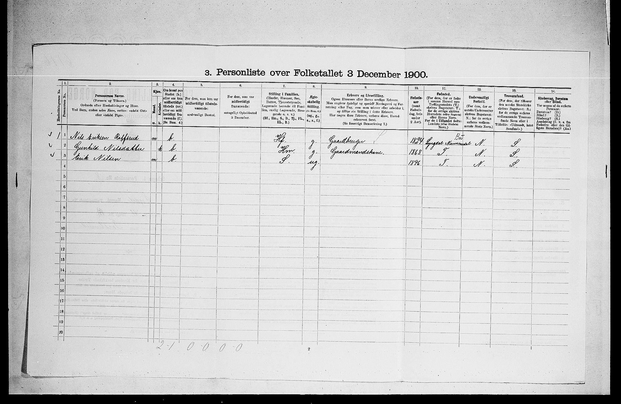 RA, 1900 census for Sigdal, 1900, p. 572