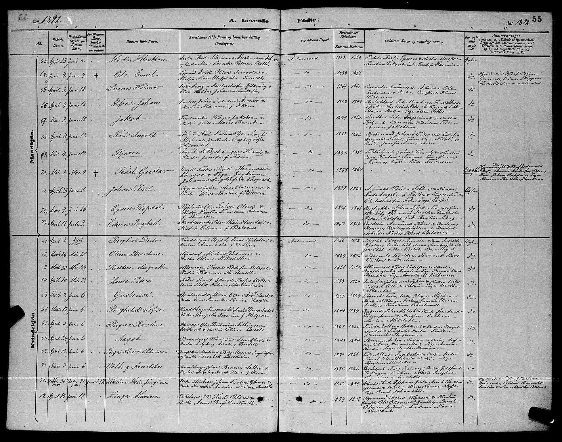 Ministerialprotokoller, klokkerbøker og fødselsregistre - Møre og Romsdal, AV/SAT-A-1454/529/L0467: Parish register (copy) no. 529C04, 1889-1897, p. 55