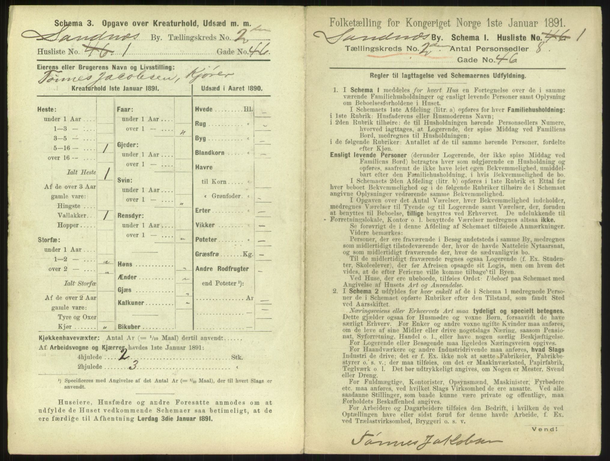 RA, 1891 census for 1102 Sandnes, 1891, p. 141