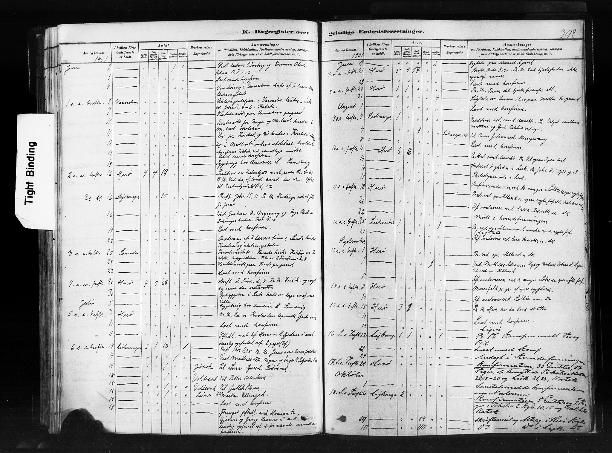 Ministerialprotokoller, klokkerbøker og fødselsregistre - Møre og Romsdal, AV/SAT-A-1454/507/L0073: Parish register (official) no. 507A08, 1878-1904, p. 398