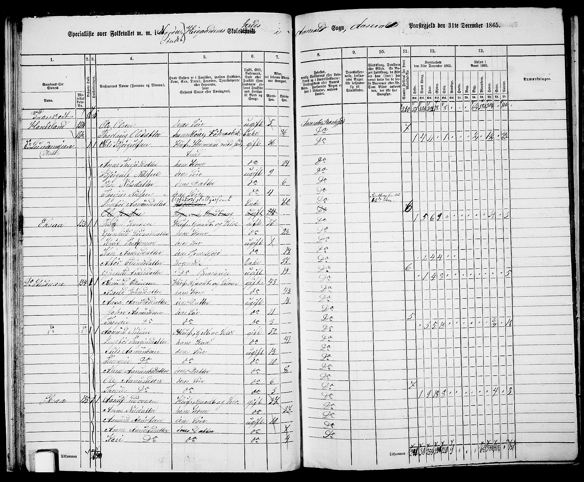 RA, 1865 census for Åseral, 1865, p. 30