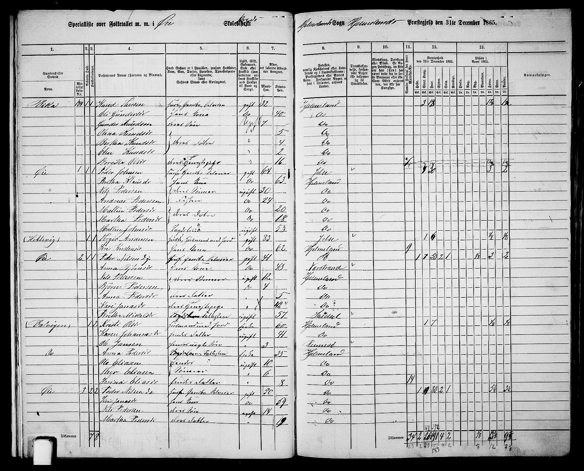 RA, 1865 census for Hjelmeland, 1865, p. 18