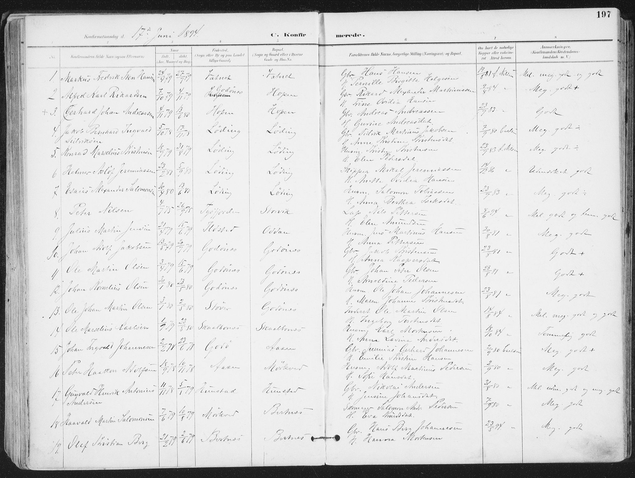 Ministerialprotokoller, klokkerbøker og fødselsregistre - Nordland, AV/SAT-A-1459/802/L0055: Parish register (official) no. 802A02, 1894-1915, p. 197