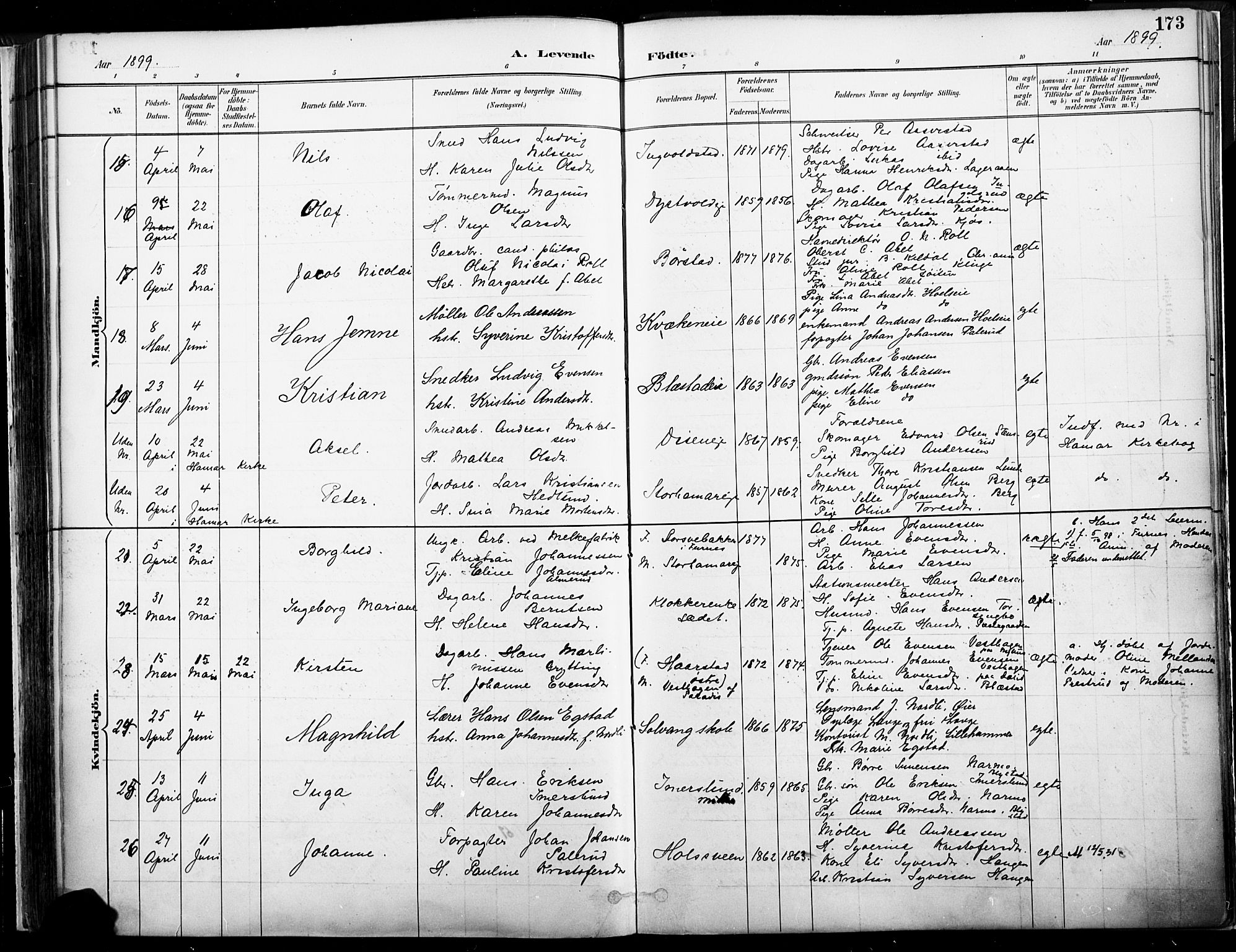 Vang prestekontor, Hedmark, SAH/PREST-008/H/Ha/Haa/L0019A: Parish register (official) no. 19, 1886-1900, p. 173