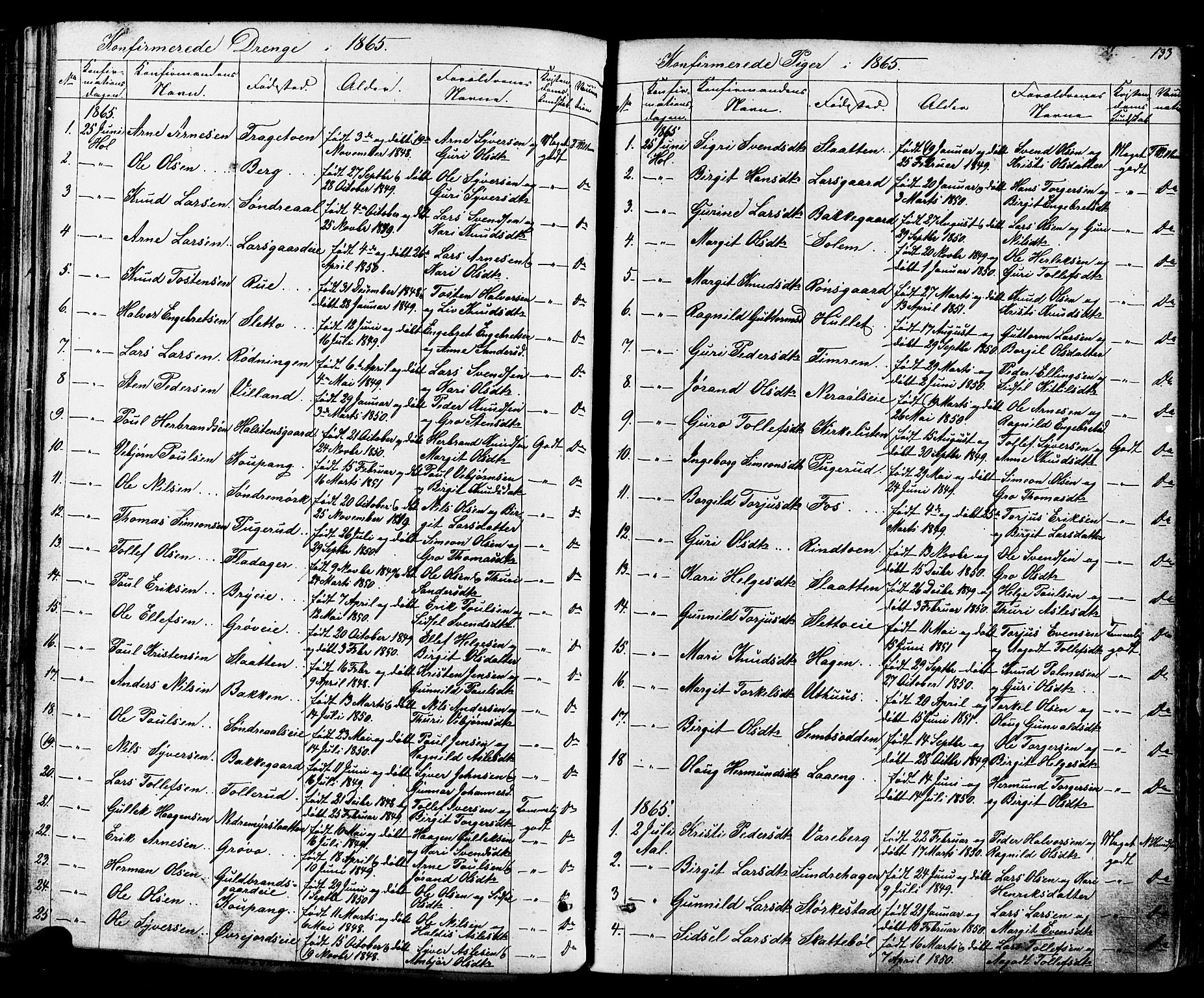 Ål kirkebøker, AV/SAKO-A-249/F/Fa/L0007: Parish register (official) no. I 7, 1865-1881, p. 133