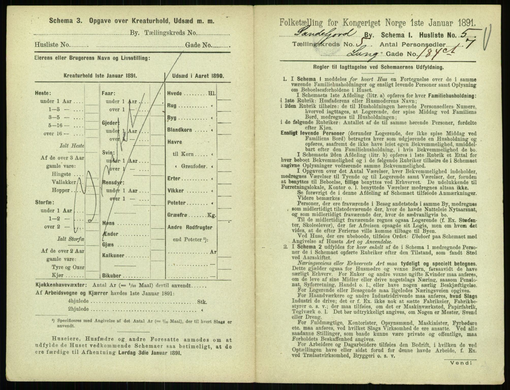 RA, 1891 census for 0706 Sandefjord, 1891, p. 519