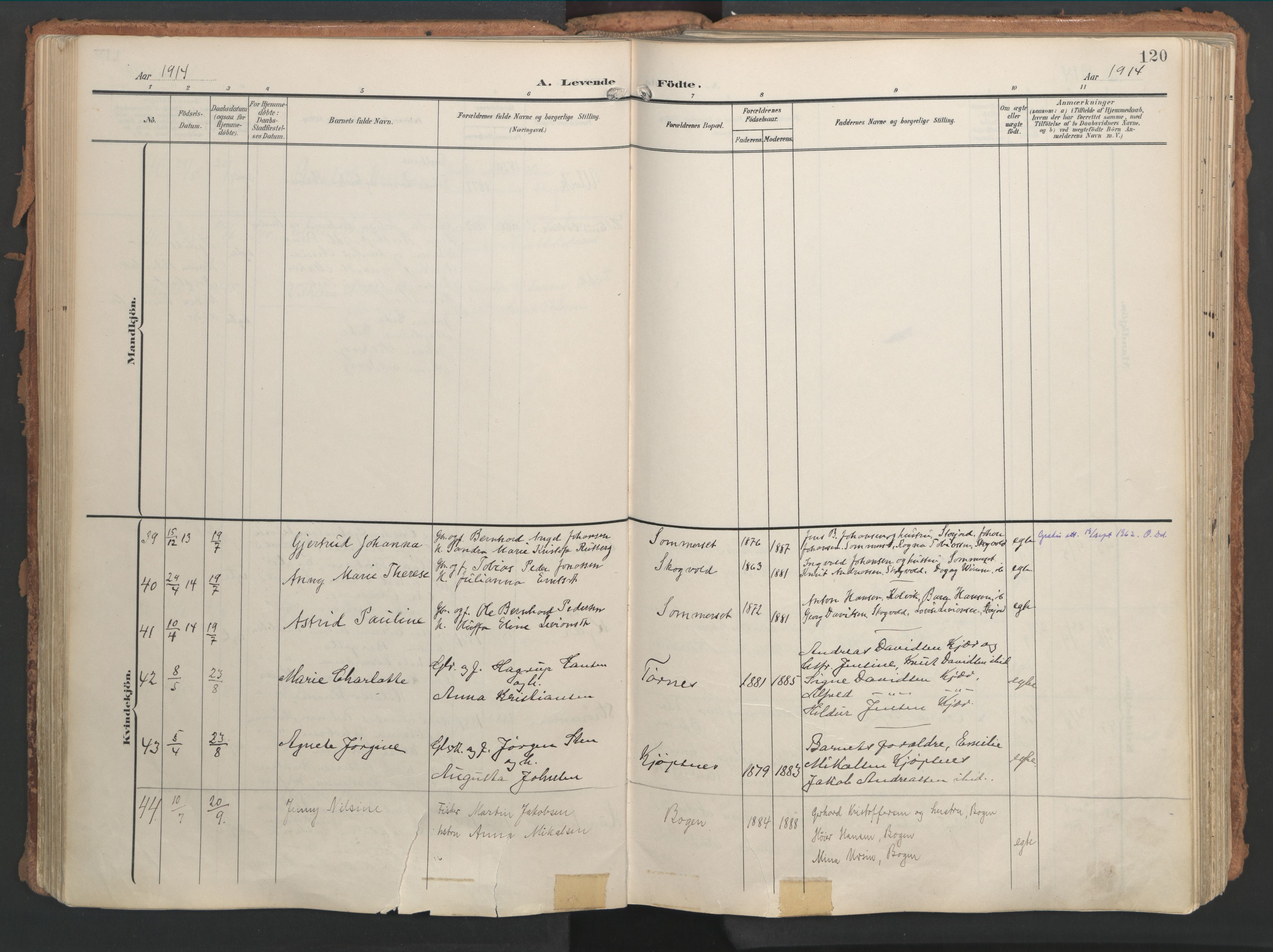 Ministerialprotokoller, klokkerbøker og fødselsregistre - Nordland, AV/SAT-A-1459/861/L0871: Parish register (official) no. 861A06, 1903-1916, p. 120