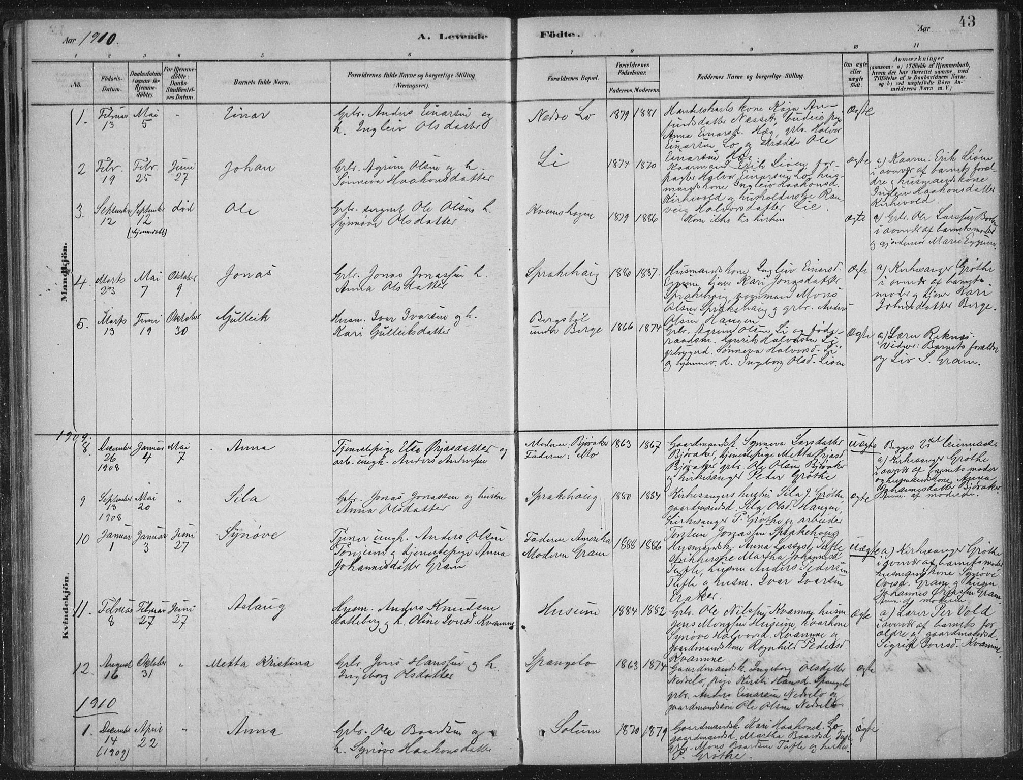 Lærdal sokneprestembete, SAB/A-81201: Parish register (official) no. C  1, 1878-1911, p. 43