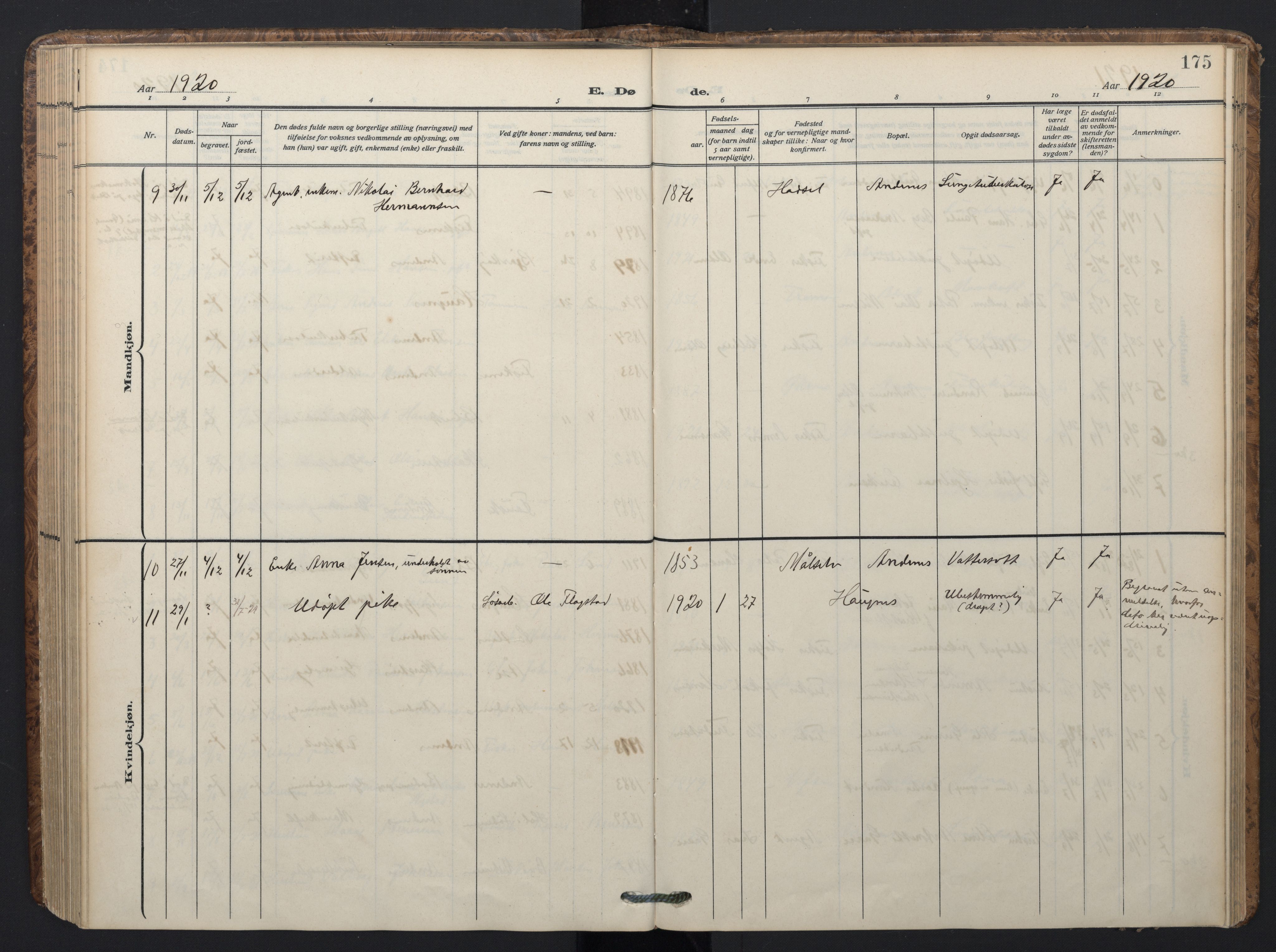 Ministerialprotokoller, klokkerbøker og fødselsregistre - Nordland, SAT/A-1459/899/L1438: Parish register (official) no. 899A06, 1909-1922, p. 175