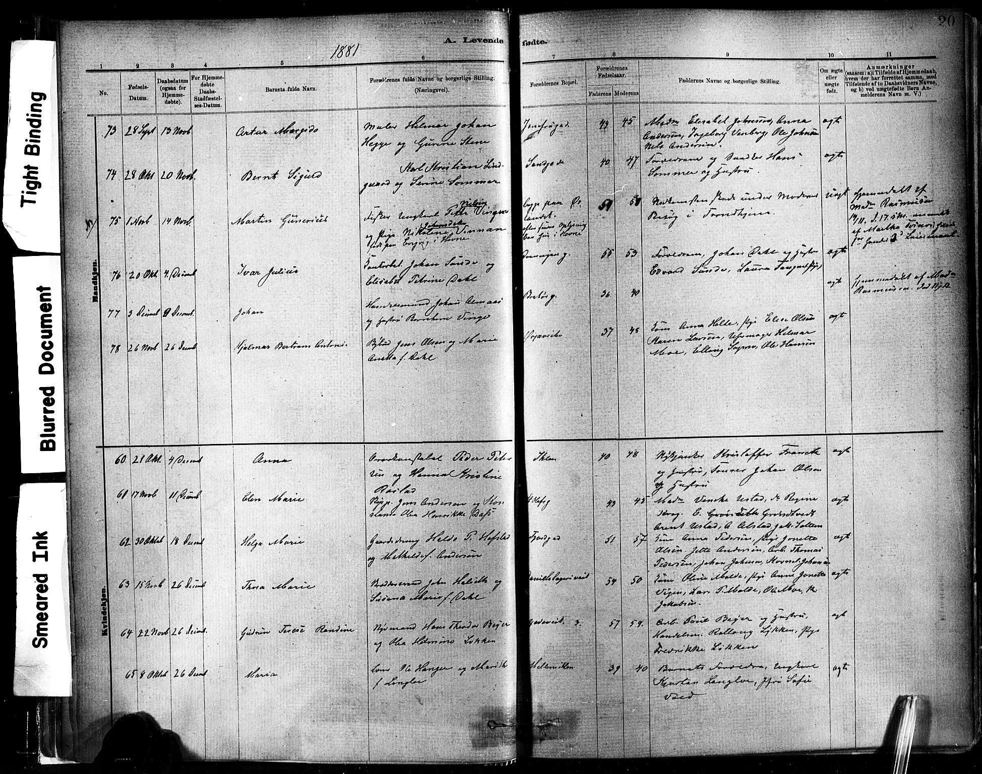 Ministerialprotokoller, klokkerbøker og fødselsregistre - Sør-Trøndelag, SAT/A-1456/602/L0119: Parish register (official) no. 602A17, 1880-1901, p. 20