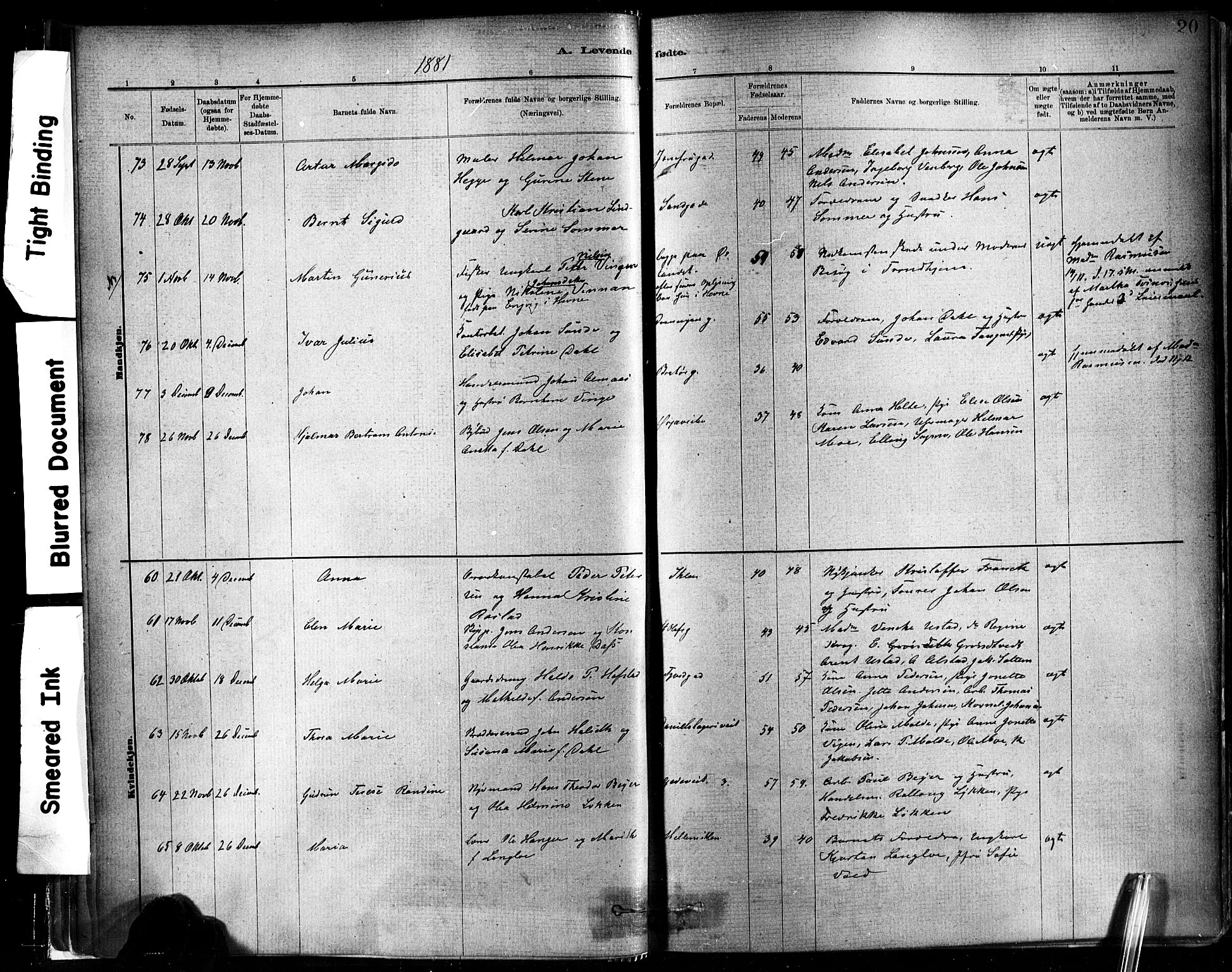 Ministerialprotokoller, klokkerbøker og fødselsregistre - Sør-Trøndelag, AV/SAT-A-1456/602/L0119: Parish register (official) no. 602A17, 1880-1901, p. 20