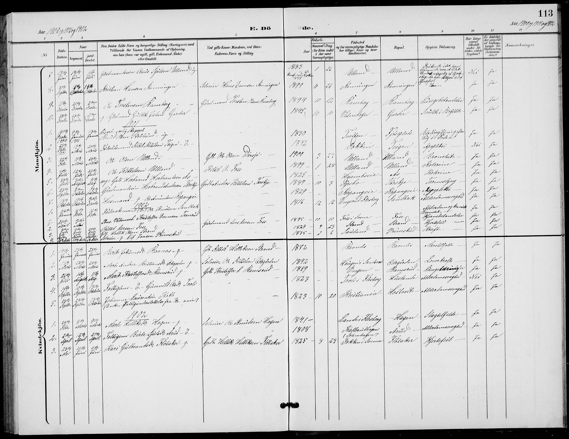 Flesberg kirkebøker, AV/SAKO-A-18/G/Ga/L0005: Parish register (copy) no. I 5, 1899-1908, p. 113