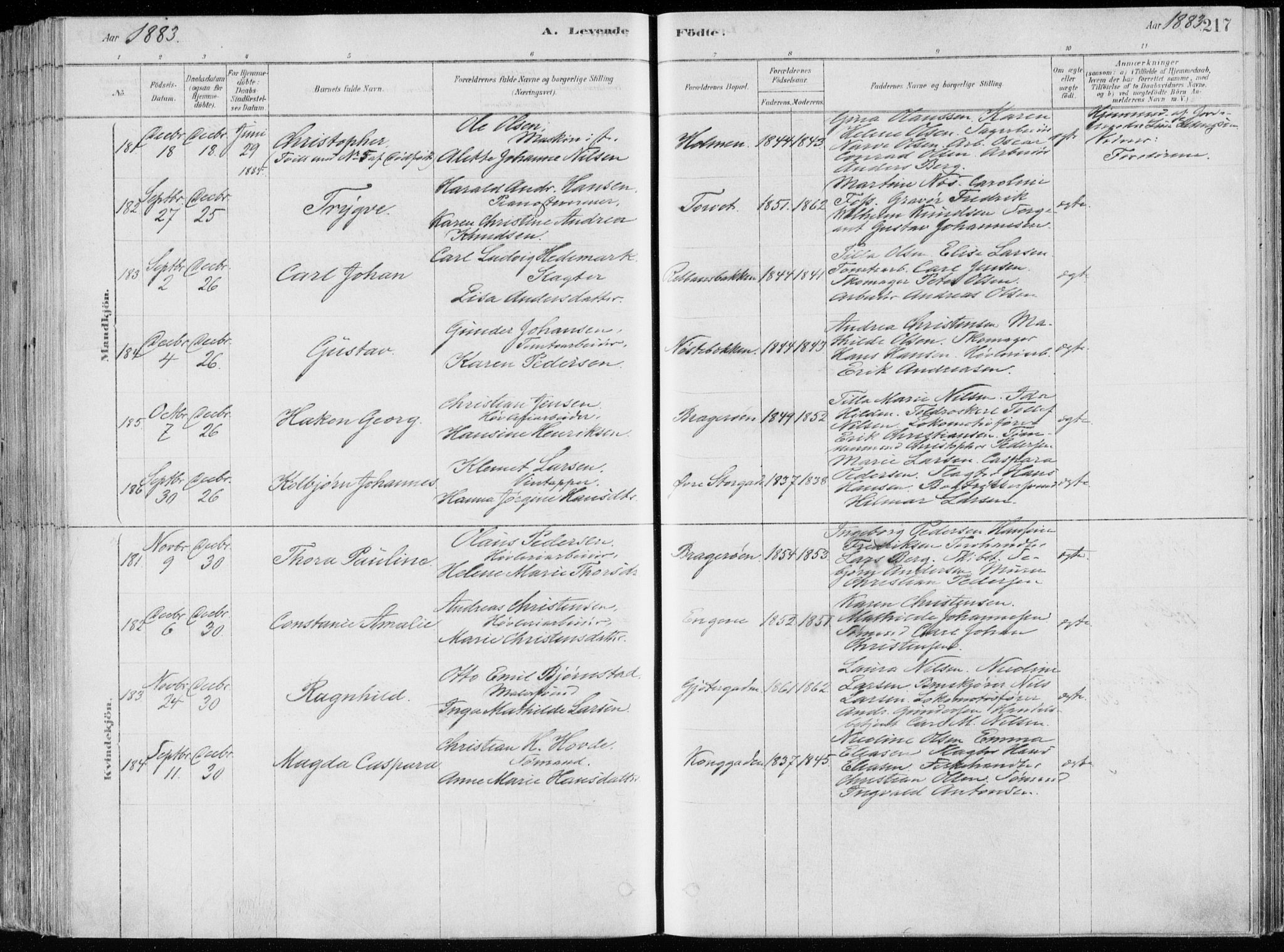 Bragernes kirkebøker, SAKO/A-6/F/Fb/L0006a: Parish register (official) no. II 6A, 1878-1885, p. 217