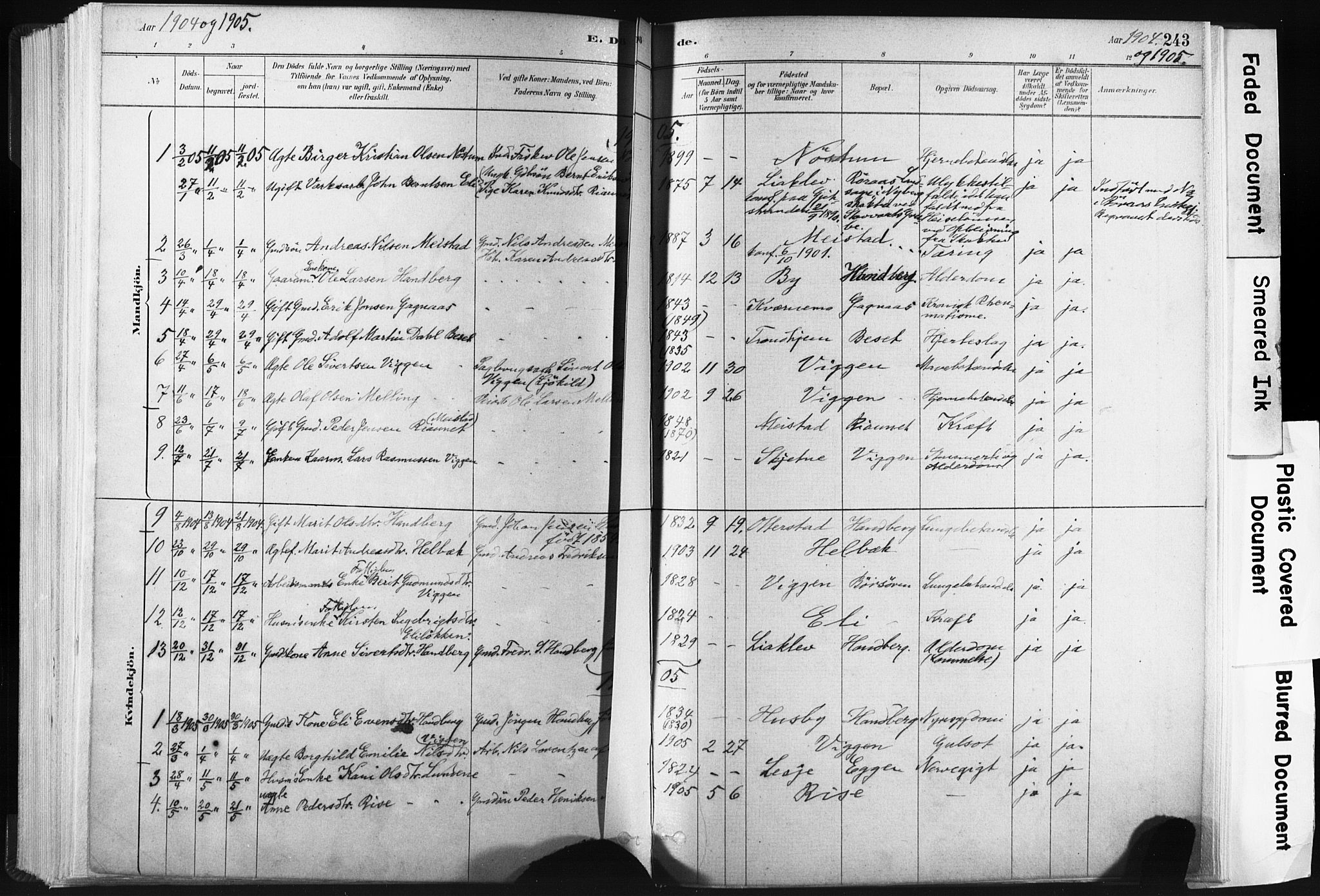 Ministerialprotokoller, klokkerbøker og fødselsregistre - Sør-Trøndelag, AV/SAT-A-1456/665/L0773: Parish register (official) no. 665A08, 1879-1905, p. 243