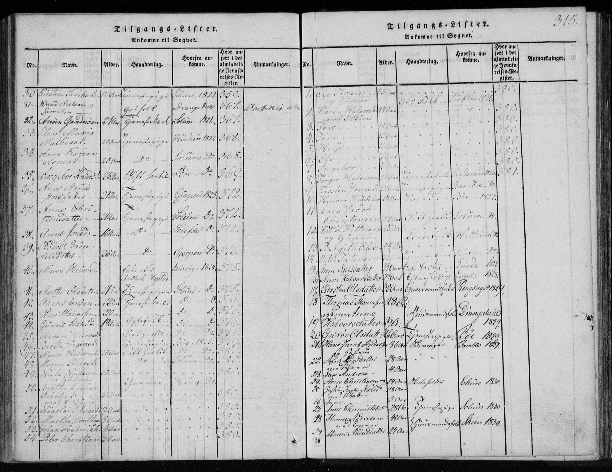 Holla kirkebøker, SAKO/A-272/F/Fa/L0003: Parish register (official) no. 3, 1815-1830, p. 315